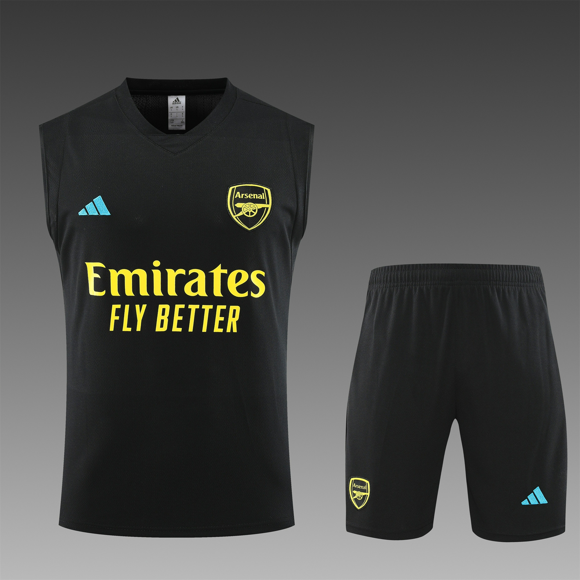 Arsenal 23-24 Player Vest Training Set Black - UnitedFutballJersey