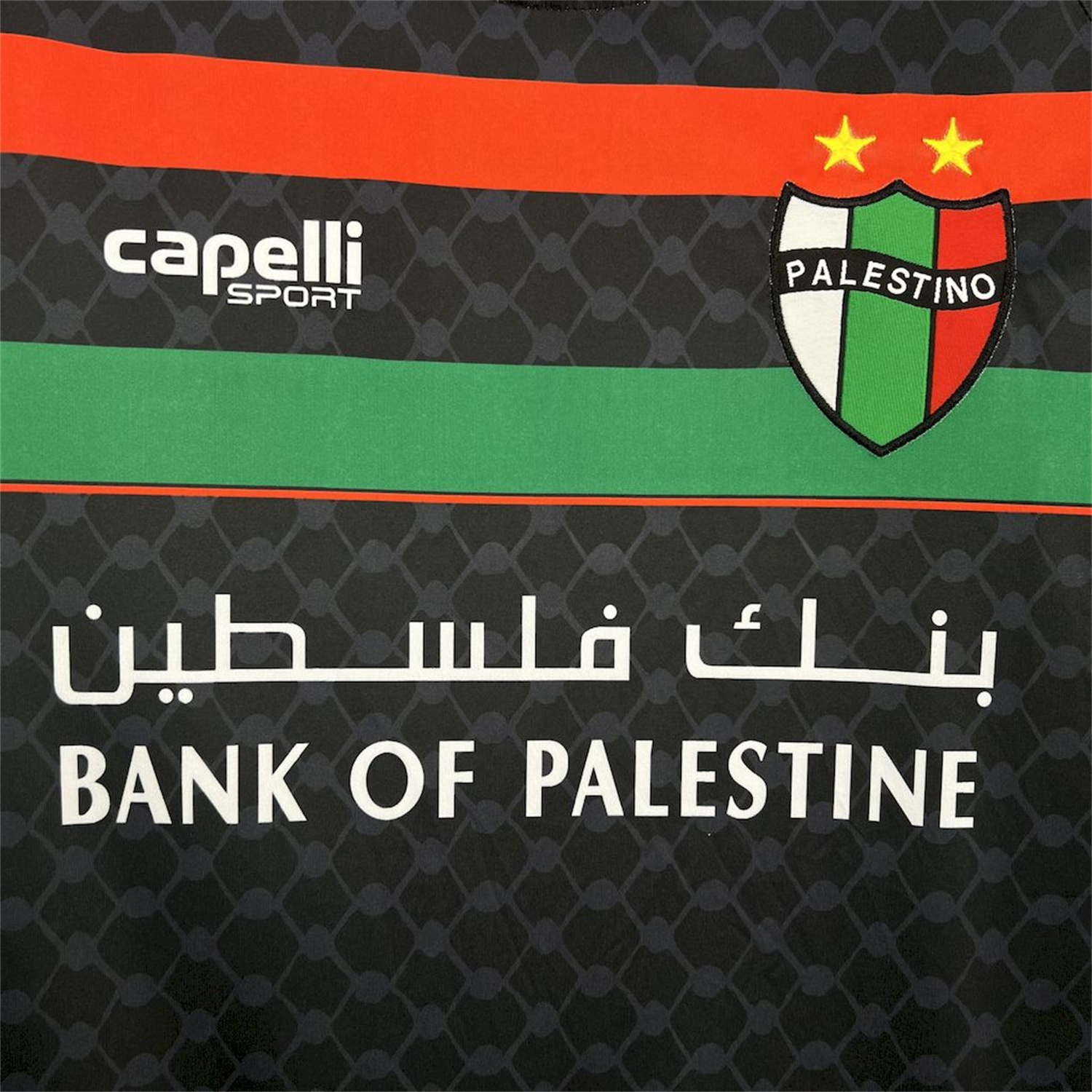Club Deportivo Palestino 25-26 Away Jersey - Fans Version - UnitedFutballJersey