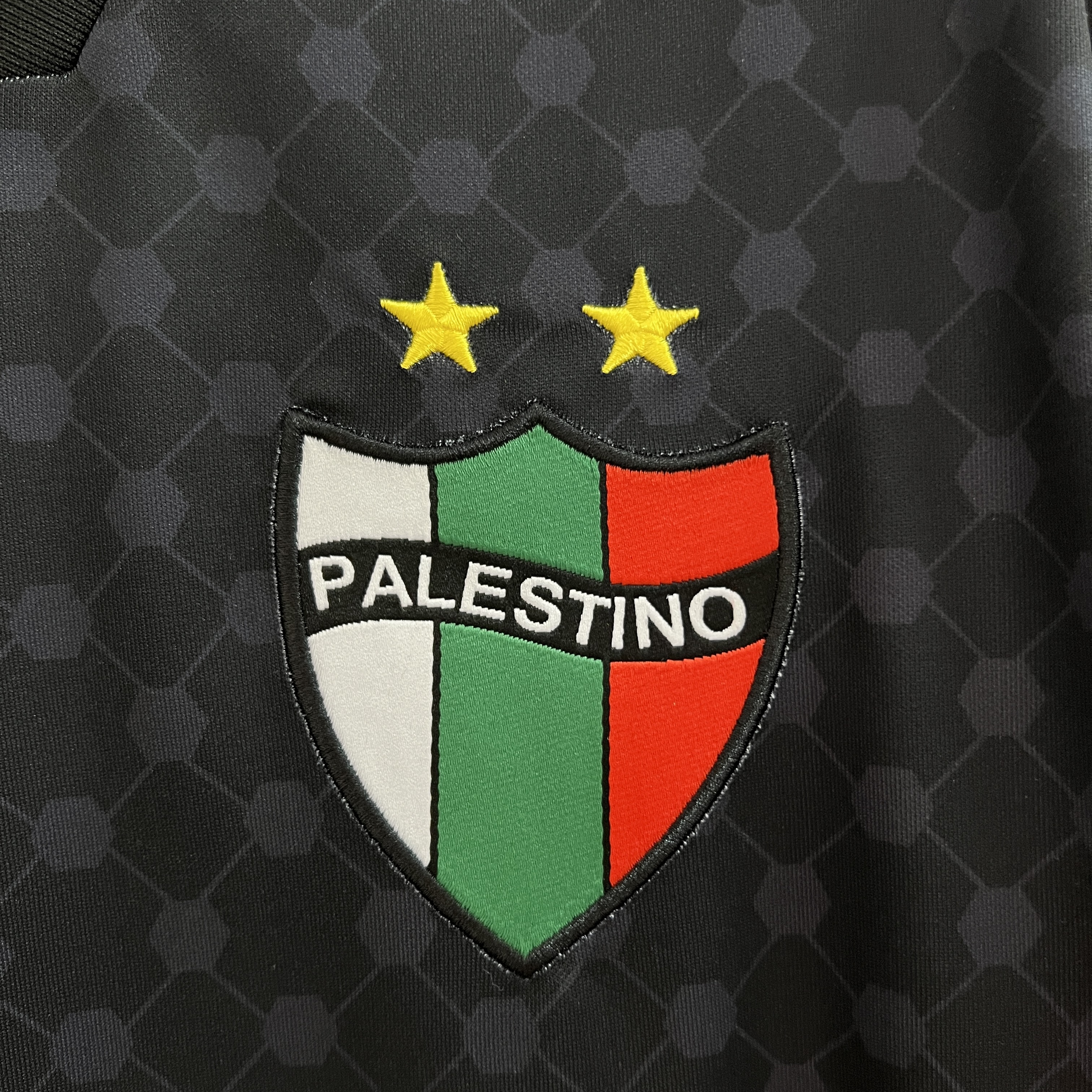 Club Deportivo Palestino 24-25 Away Jersey - Fans Version - UnitedFutballJersey