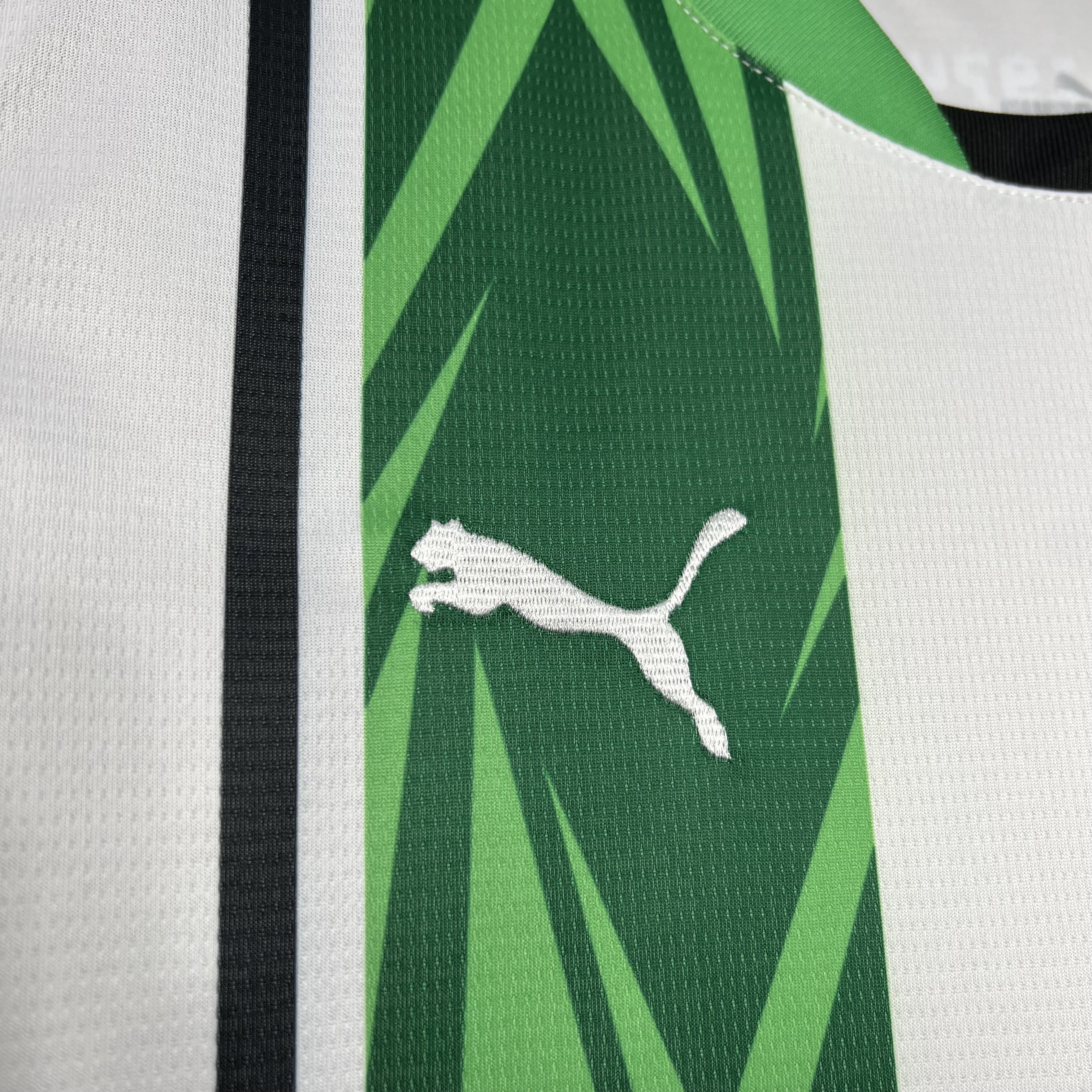 Borussia Mönchengladbach 24-25 Home Stadium Jersey - Fans Version - UnitedFutballJersey