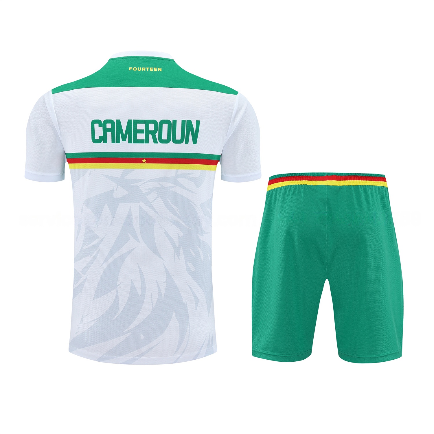 Cameroon 25-26 Short-Sleeve Training Set - White Top and Green Shorts - UnitedFutballJersey
