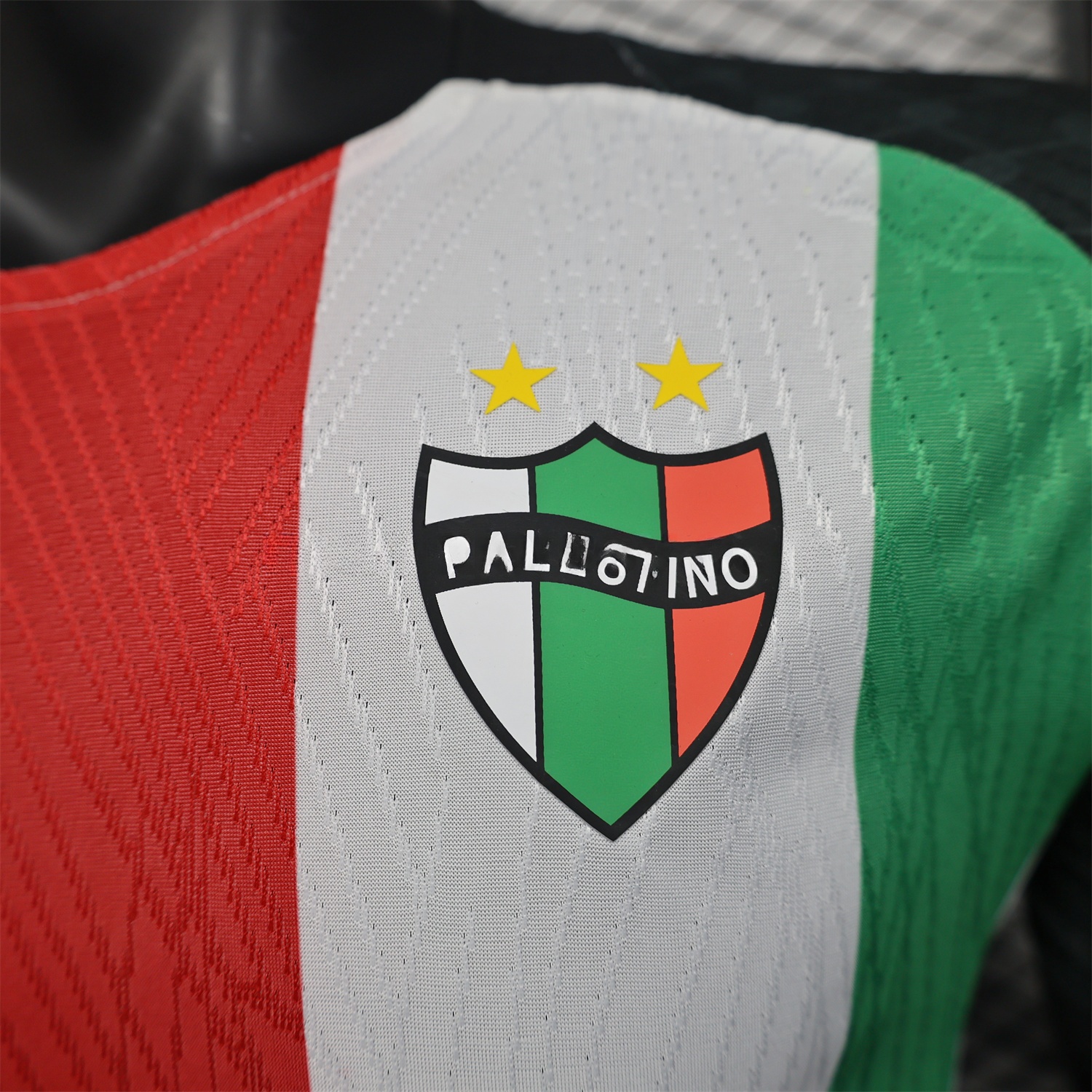 Club Deportivo Palestino 25-26 Home Jersey - Player Version - UnitedFutballJersey