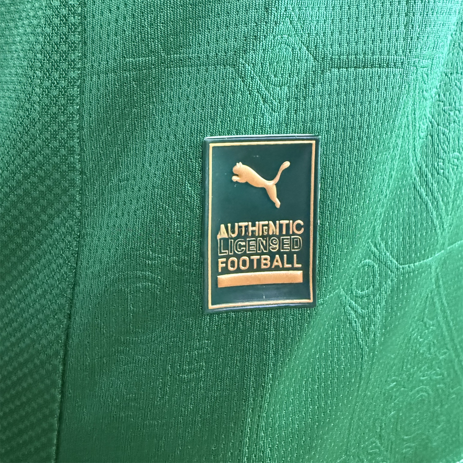 Palmeiras 2025-26 Home Jersey - Player Version - UnitedFutballJersey