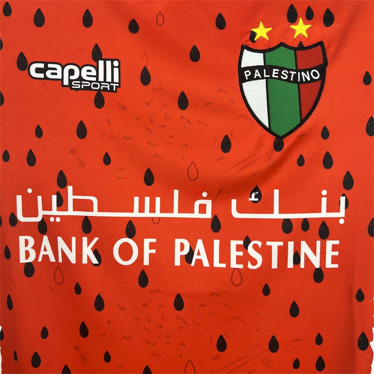 Club Deportivo Palestino 25-26 Third Jersey - Fans Version - UnitedFutballJersey