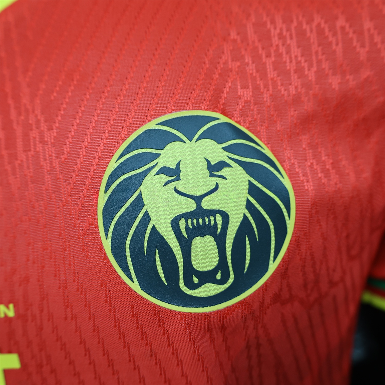 Cameroon 25-26 Away Jersey - Player Version - UnitedFutballJersey