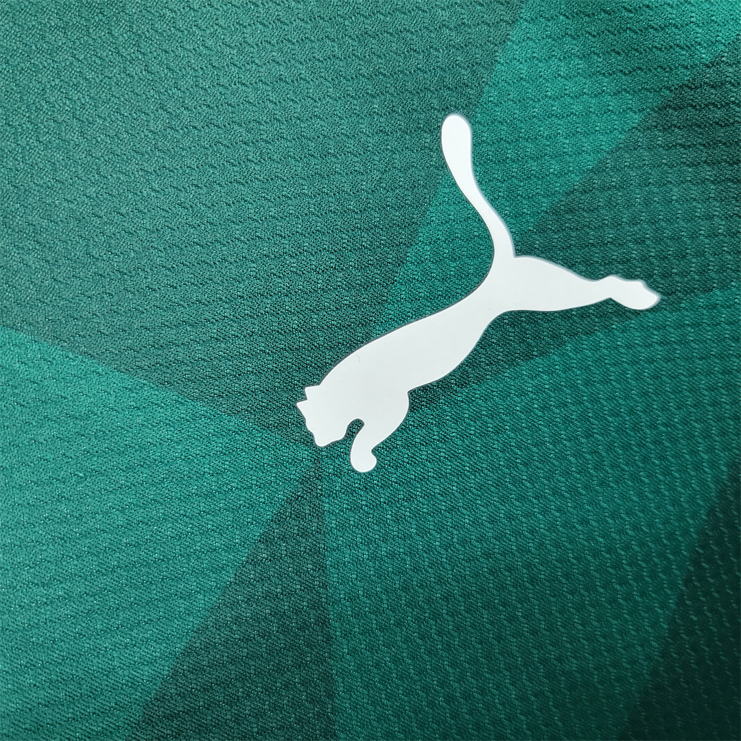 Palmeiras 2023 Home Stadium Jersey - Fans Version - UnitedFutballJersey