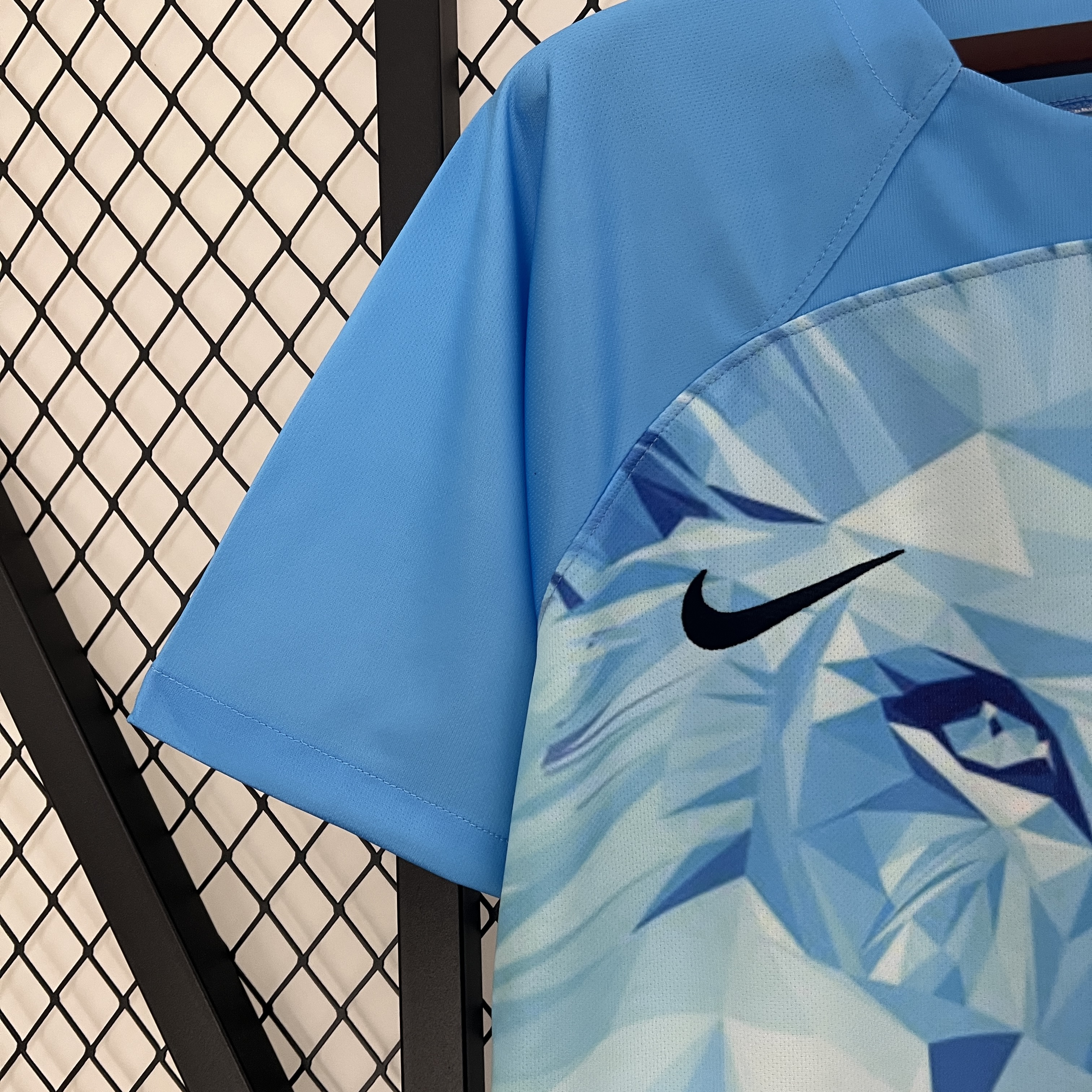 Netherlands 2024 Blue Special Edition Jersey - Fans Version - UnitedFutballJersey