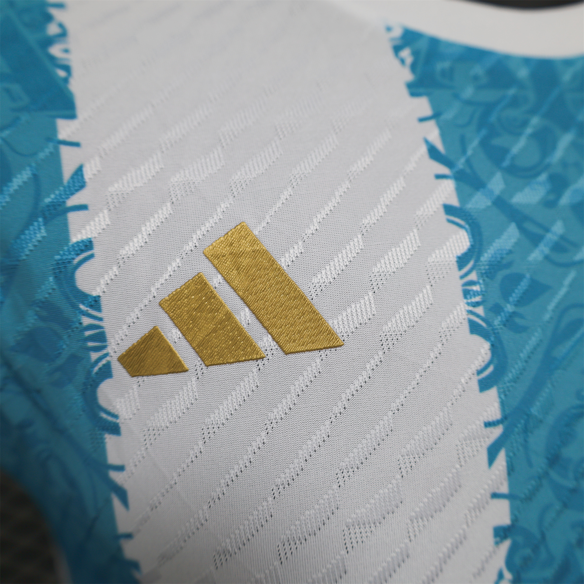 Argentina 2024 Blue and White Stripes Special Edition Jersey - Player Version - UnitedFutballJersey