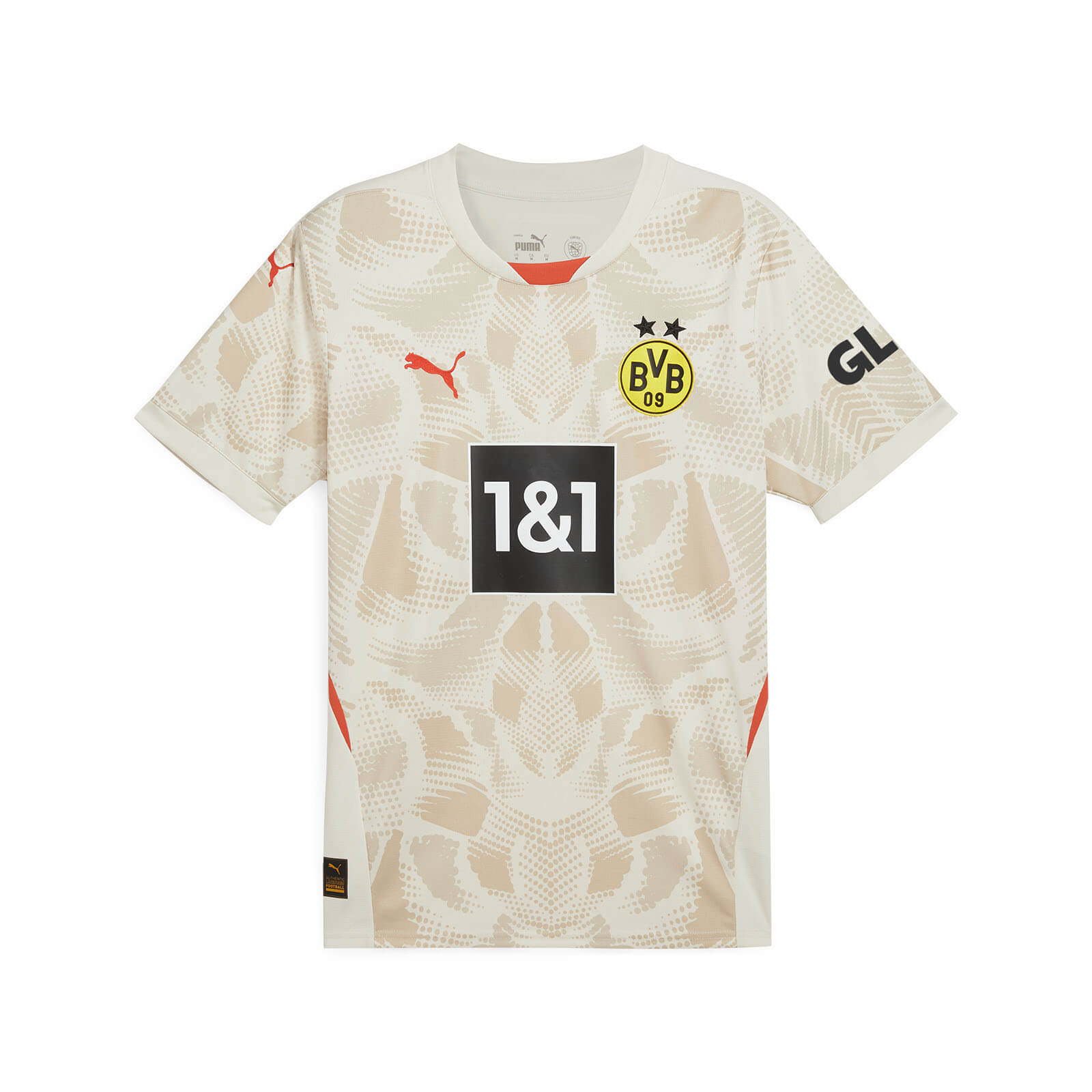 Dortmund 24-25 Goalkeeper Grey Jersey - Fans Version - UnitedFutballJersey