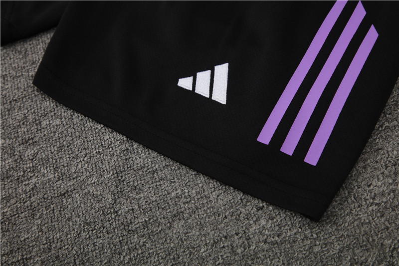 Germany 2024 Short-Sleeve Training Set - Purple - UnitedFutballJersey