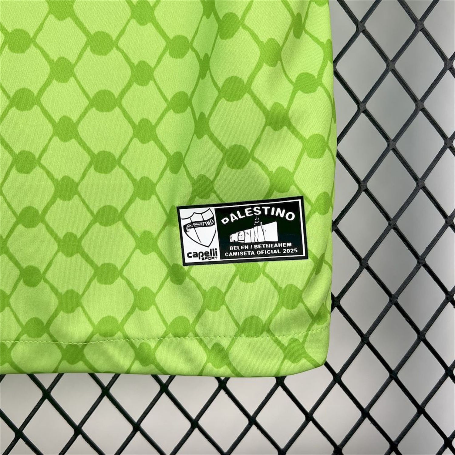 Club Deportivo Palestino 25-26 Green Goalkeeper Jersey - Fans Version - UnitedFutballJersey