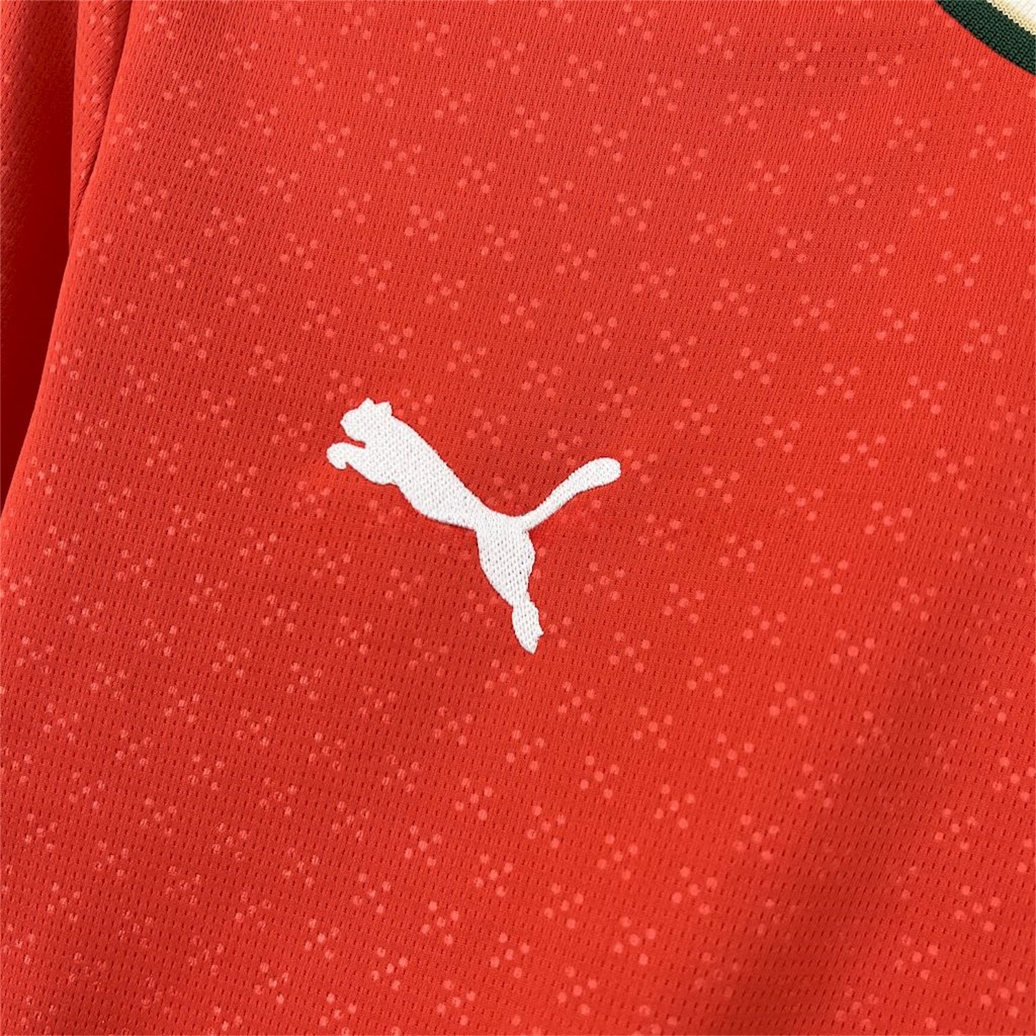 Portugal 2025-26 Home Long Sleeve Jersey - Fans Version - UnitedFutballJersey