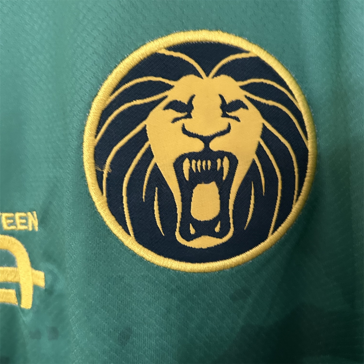 Cameroon 25-26 Home Jersey - Fans Version - UnitedFutballJersey