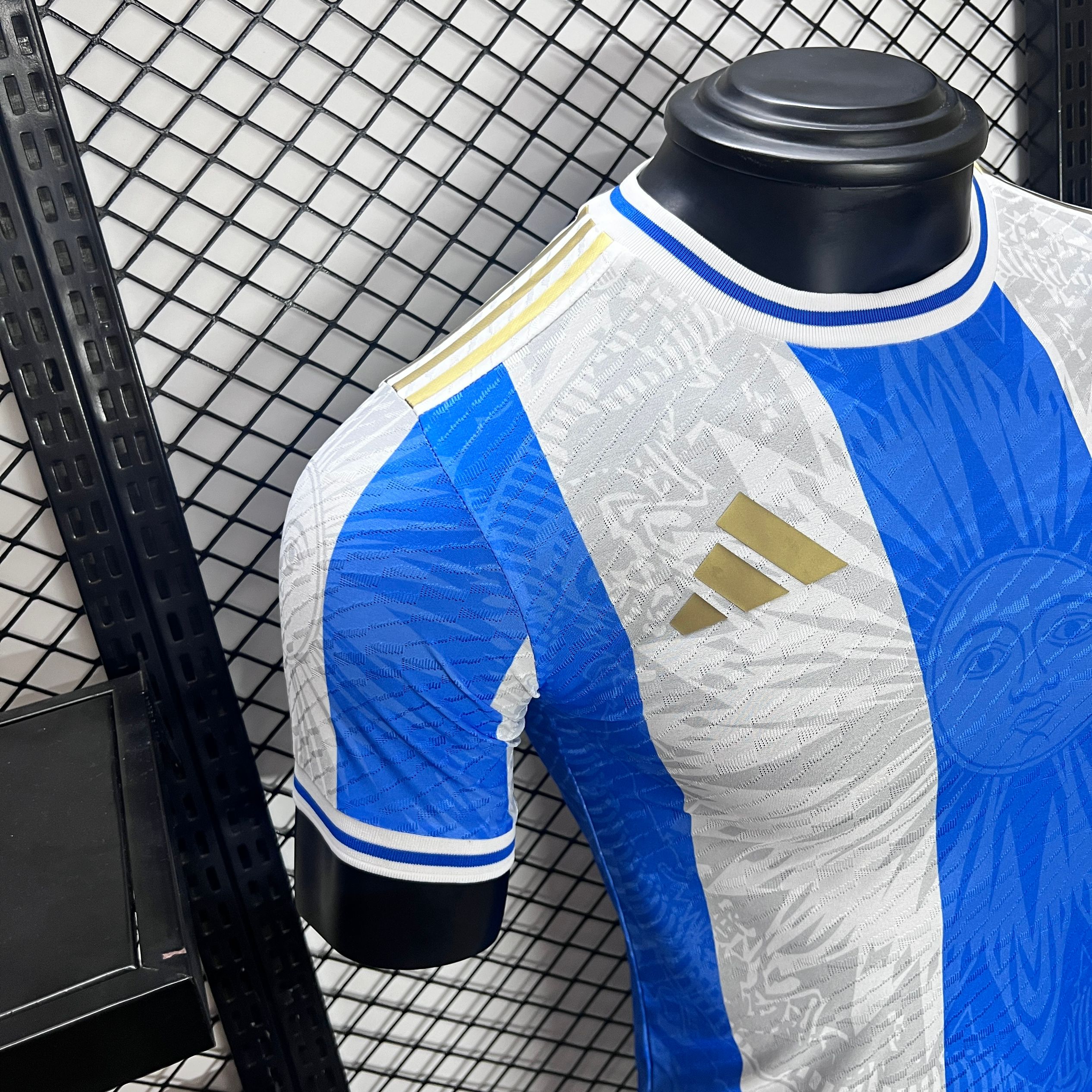 Argentina 2024 Sun of May Special Edition Jersey - Player Version - UnitedFutballJersey