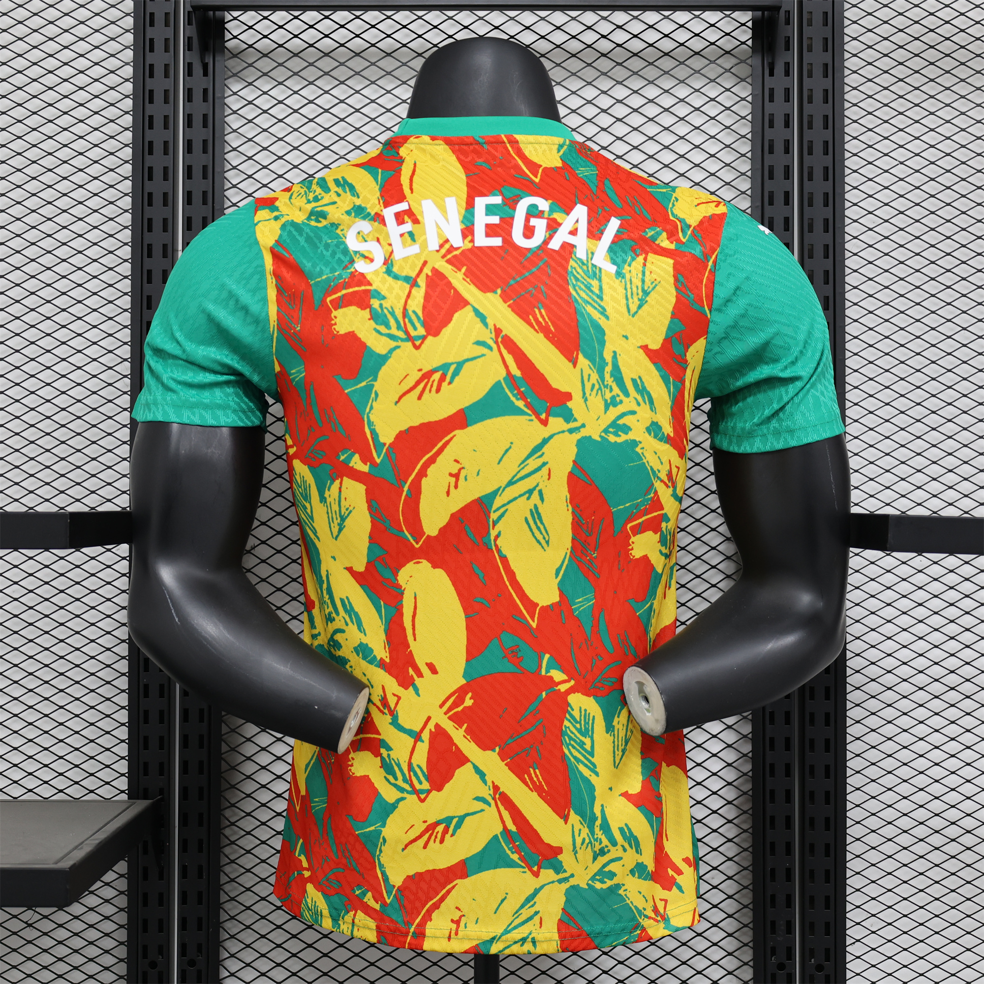 Senegal 24-25 Pre-Match Jersey - Player Version - UnitedFutballJersey
