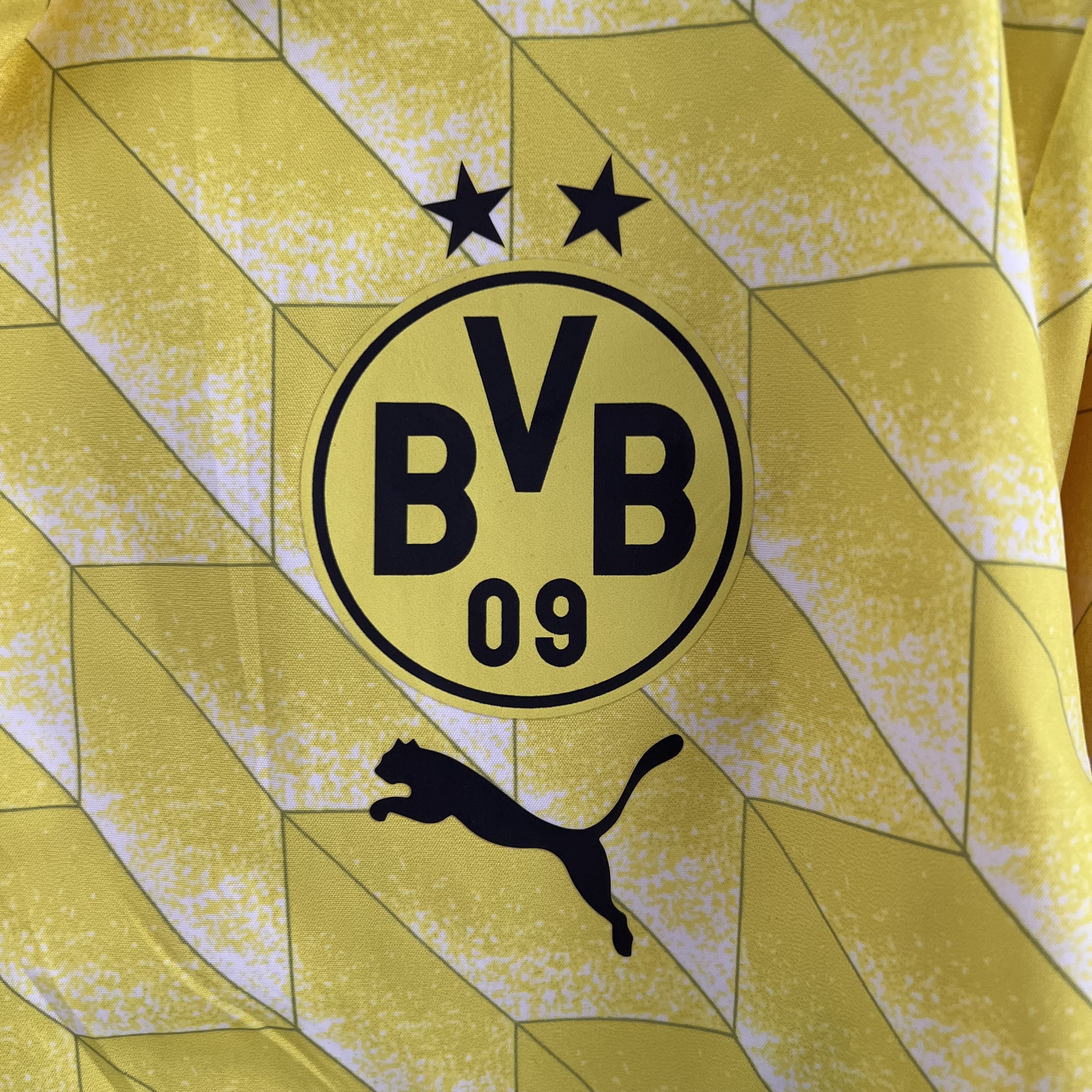 Dortmund 23-24 Double Sided Windbreaker - Yellow - UnitedFutballJersey