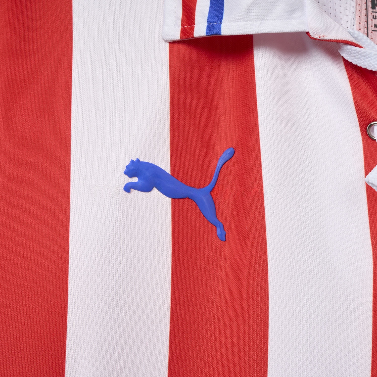 Retro Chivas de Guadalajara 2016-17 110-Years Anniversary Jersey - UnitedFutballJersey