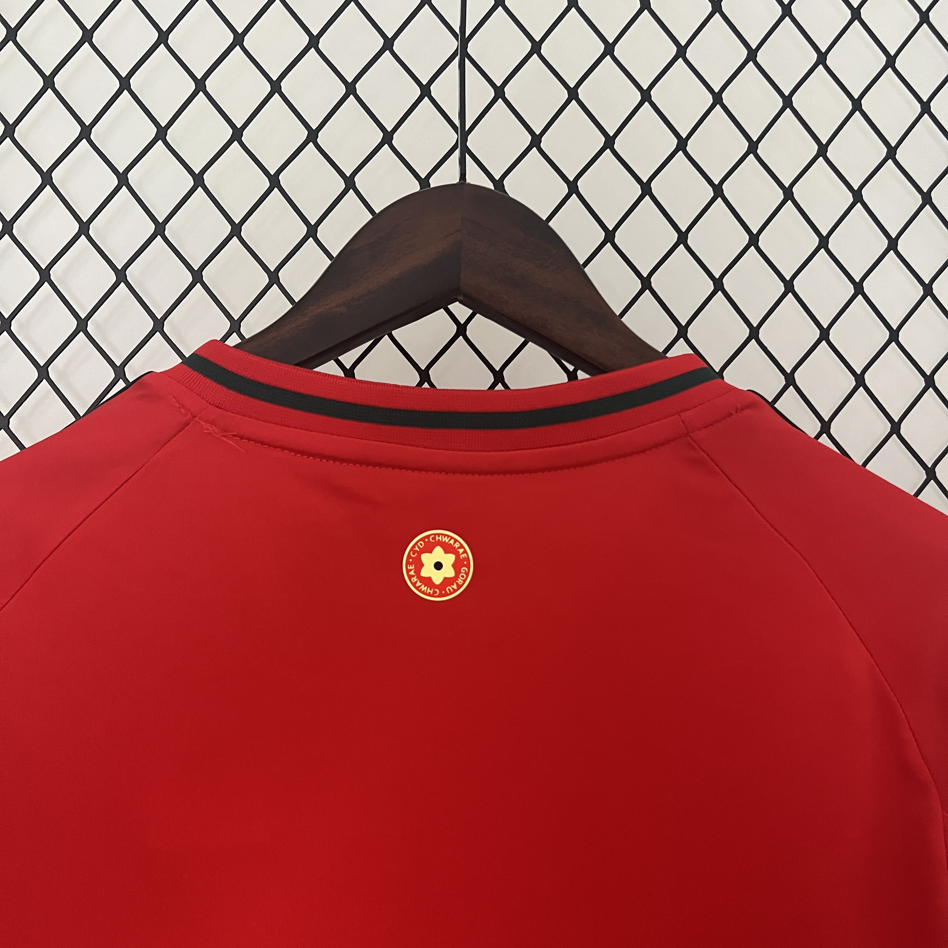 Wales 2024 Home Stadium Jersey - Fans Version - UnitedFutballJersey