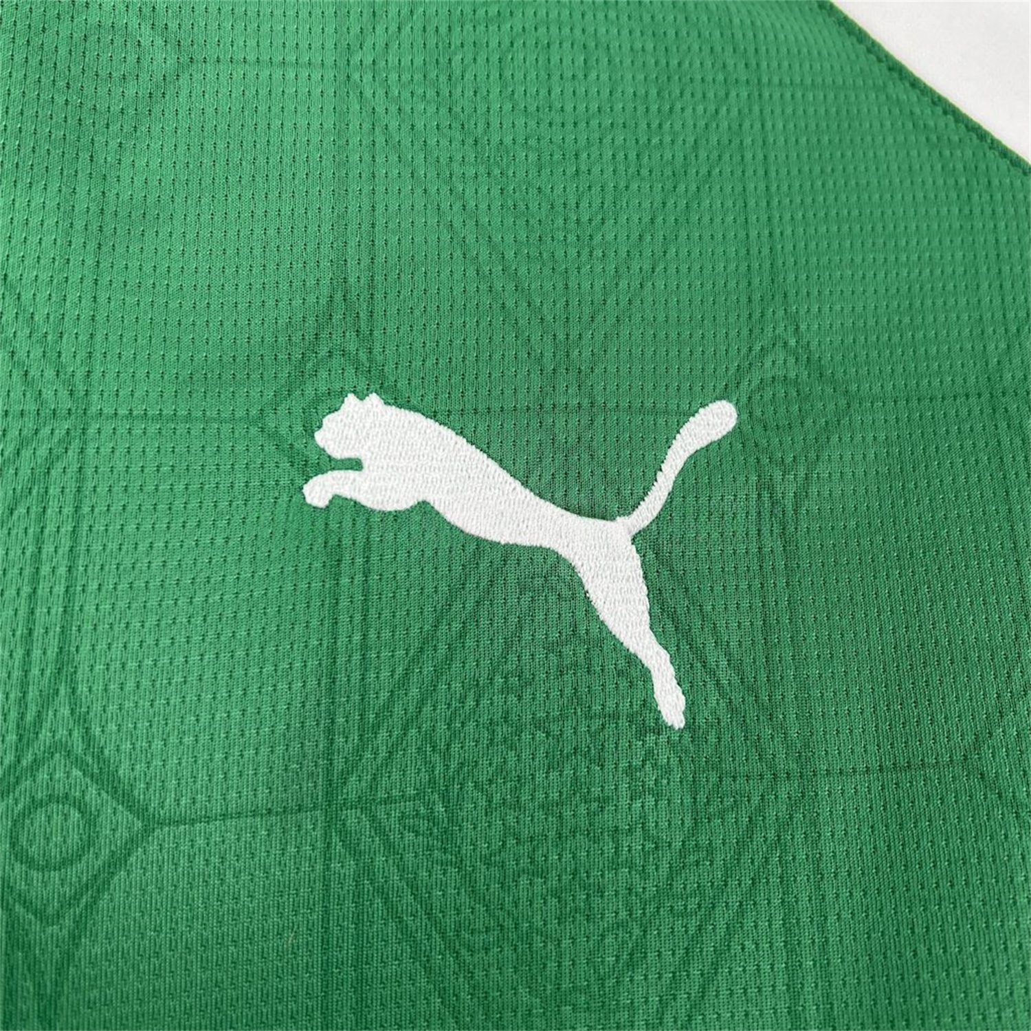 Palmeiras 25-26 Home Jersey - Fans Version - UnitedFutballJersey