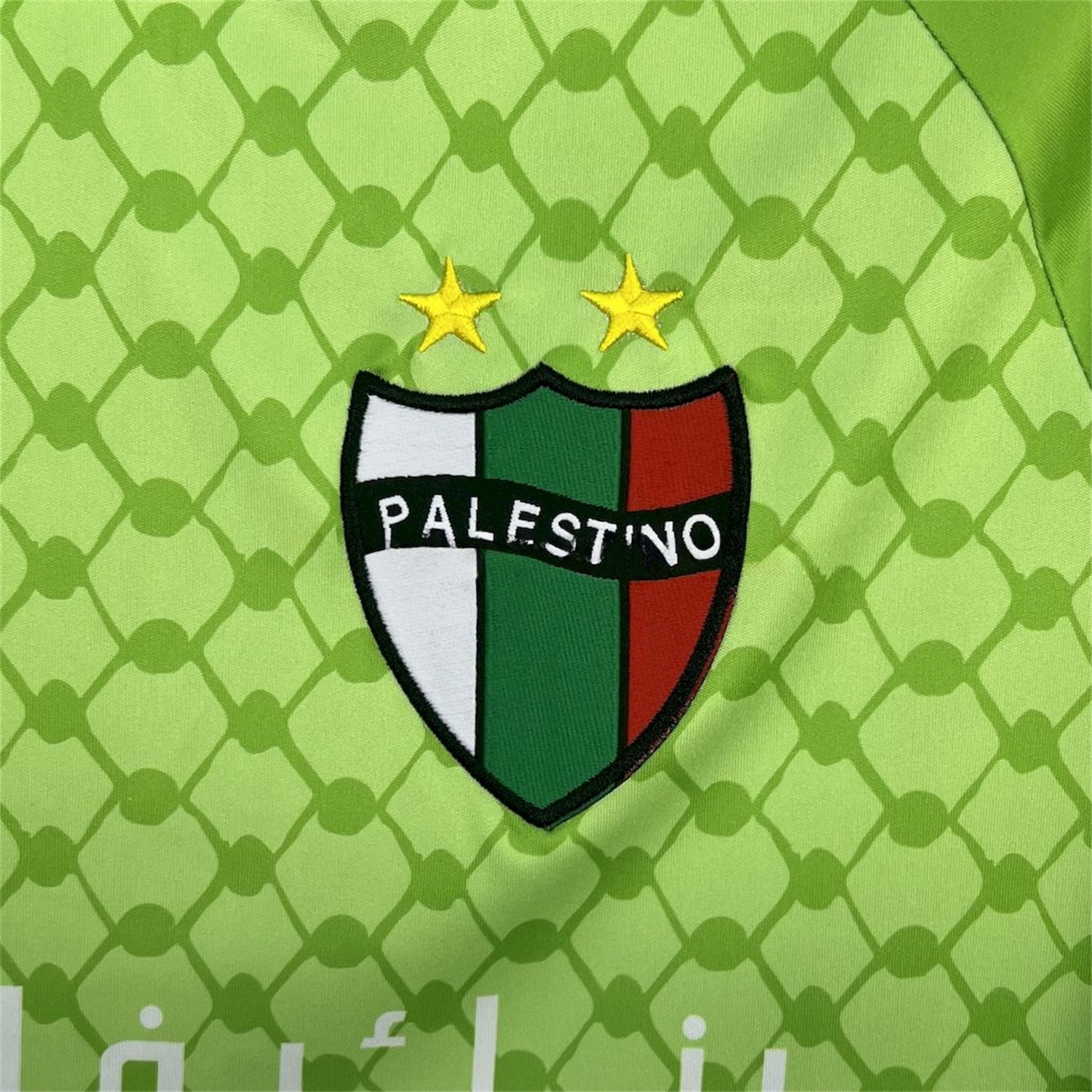Club Deportivo Palestino 25-26 Green Goalkeeper Jersey - Fans Version - UnitedFutballJersey