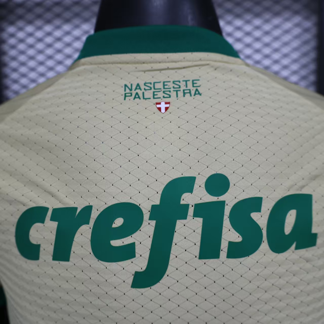 Palmeiras 2024 110-Year Anniversary Jersey - Player Version - UnitedFutballJersey
