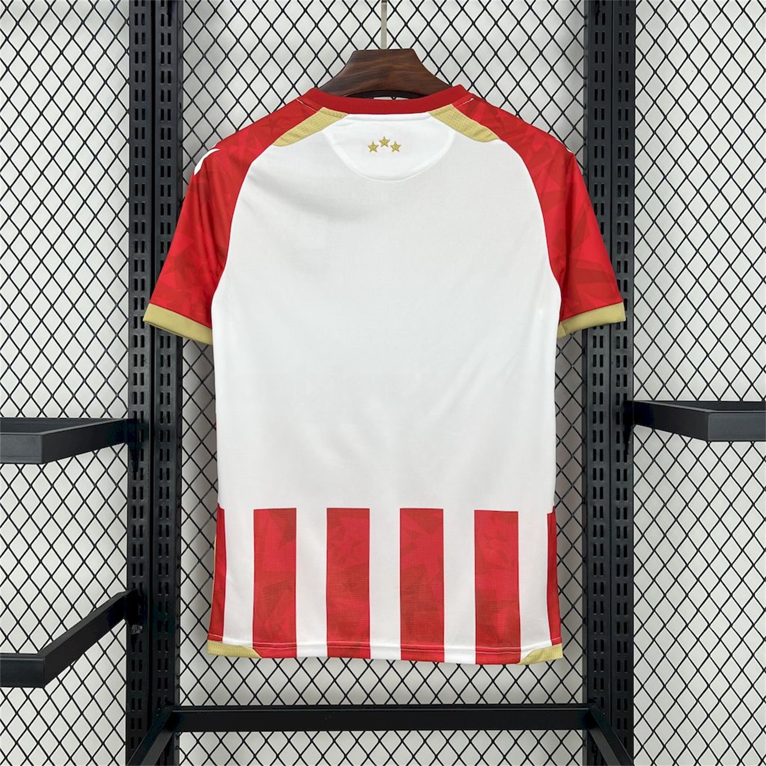 Red Star Belgrade 24-25 Home Jersey - Fans Version - UnitedFutballJersey