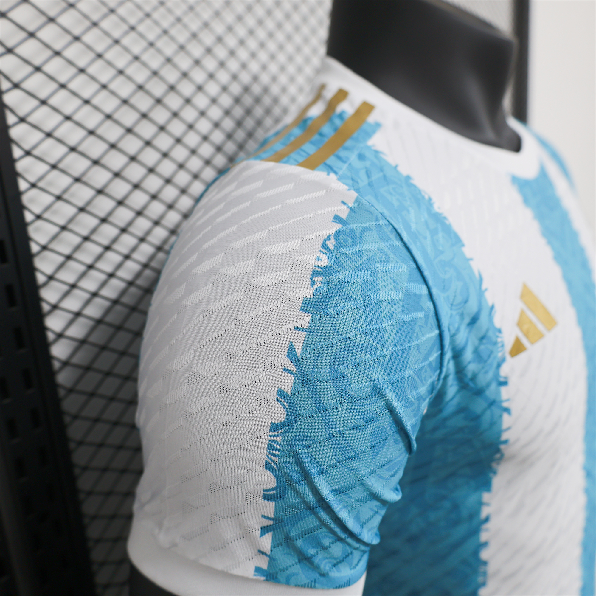 Argentina 2024 Blue and White Stripes Special Edition Jersey - Player Version - UnitedFutballJersey