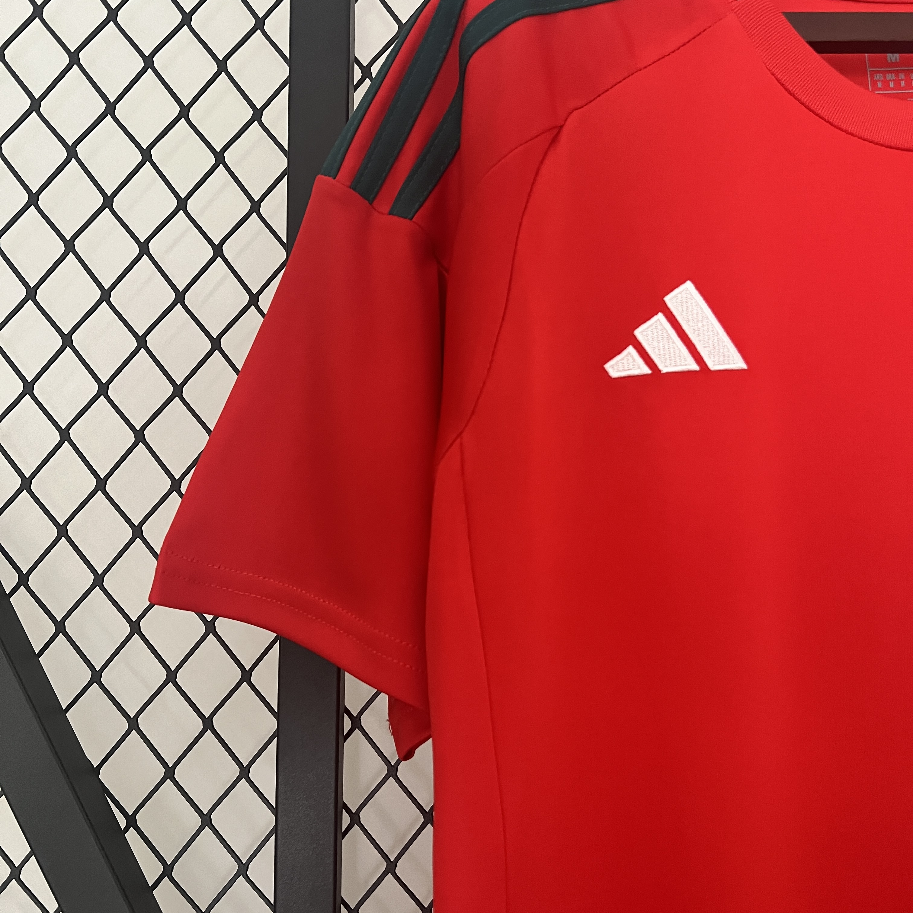 Wales 2024 Home Stadium Jersey - Fans Version - UnitedFutballJersey