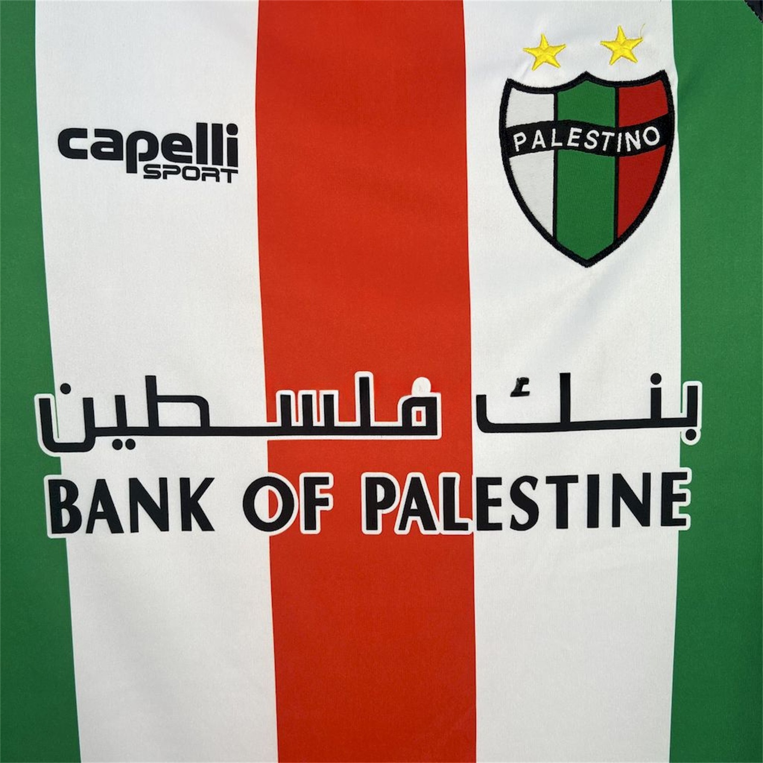 Club Deportivo Palestino 25-26 Home Jersey - Fans Version - UnitedFutballJersey
