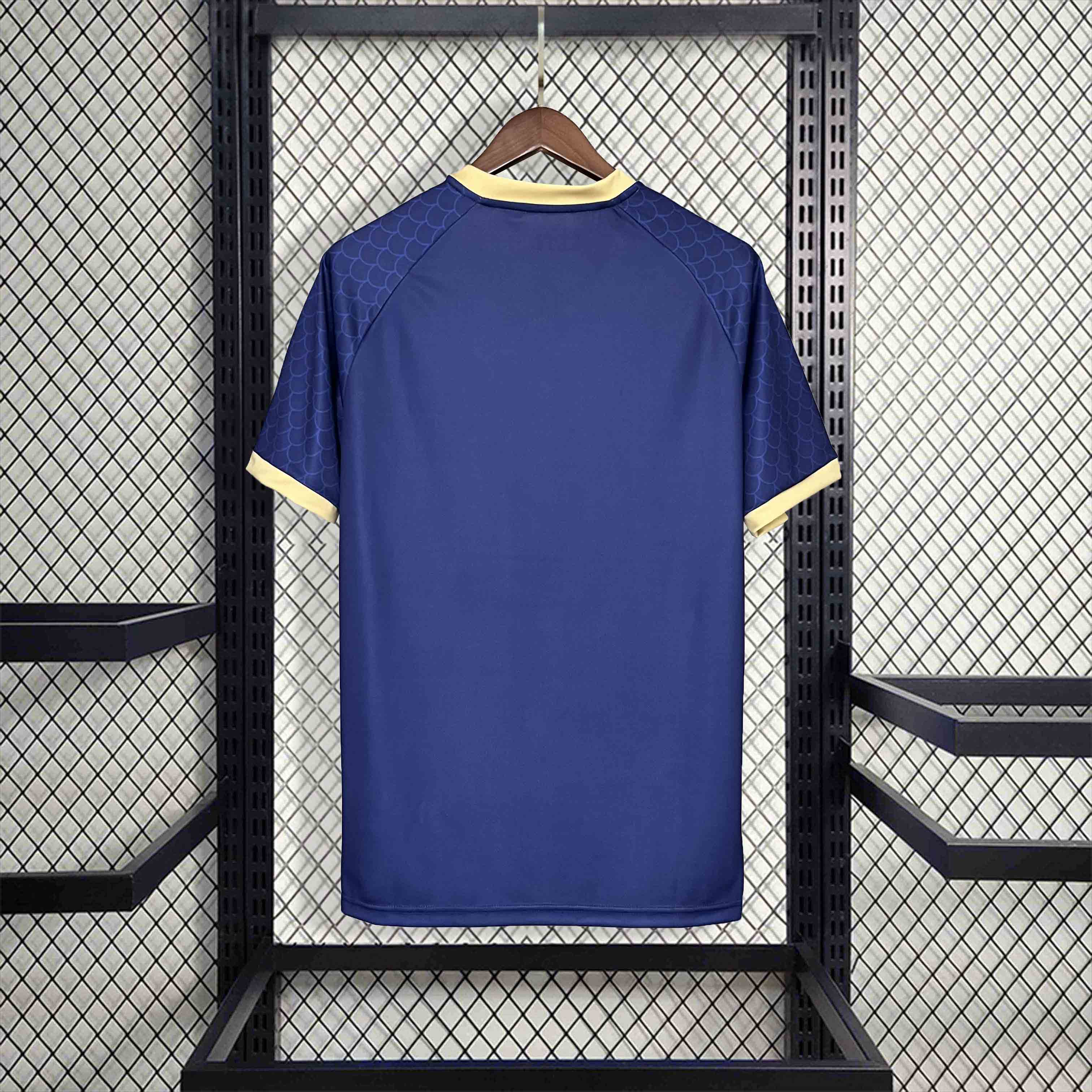 Japan 2024 Blue Dragon Special Edition Jersey - Fans Version - UnitedFutballJersey