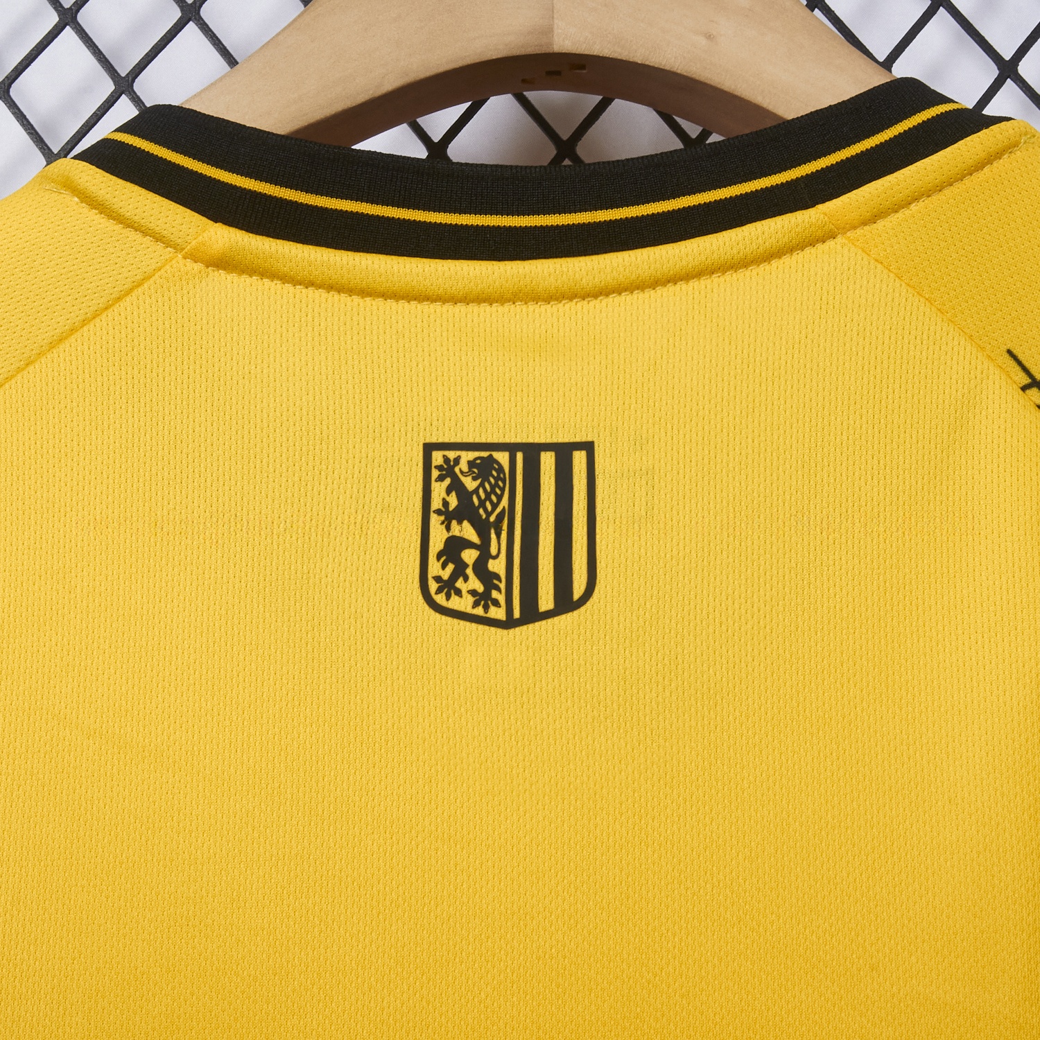 Dynamo Dresden 25-26 HATE RACISM Special Jersey - Fans Version - UnitedFutballJersey