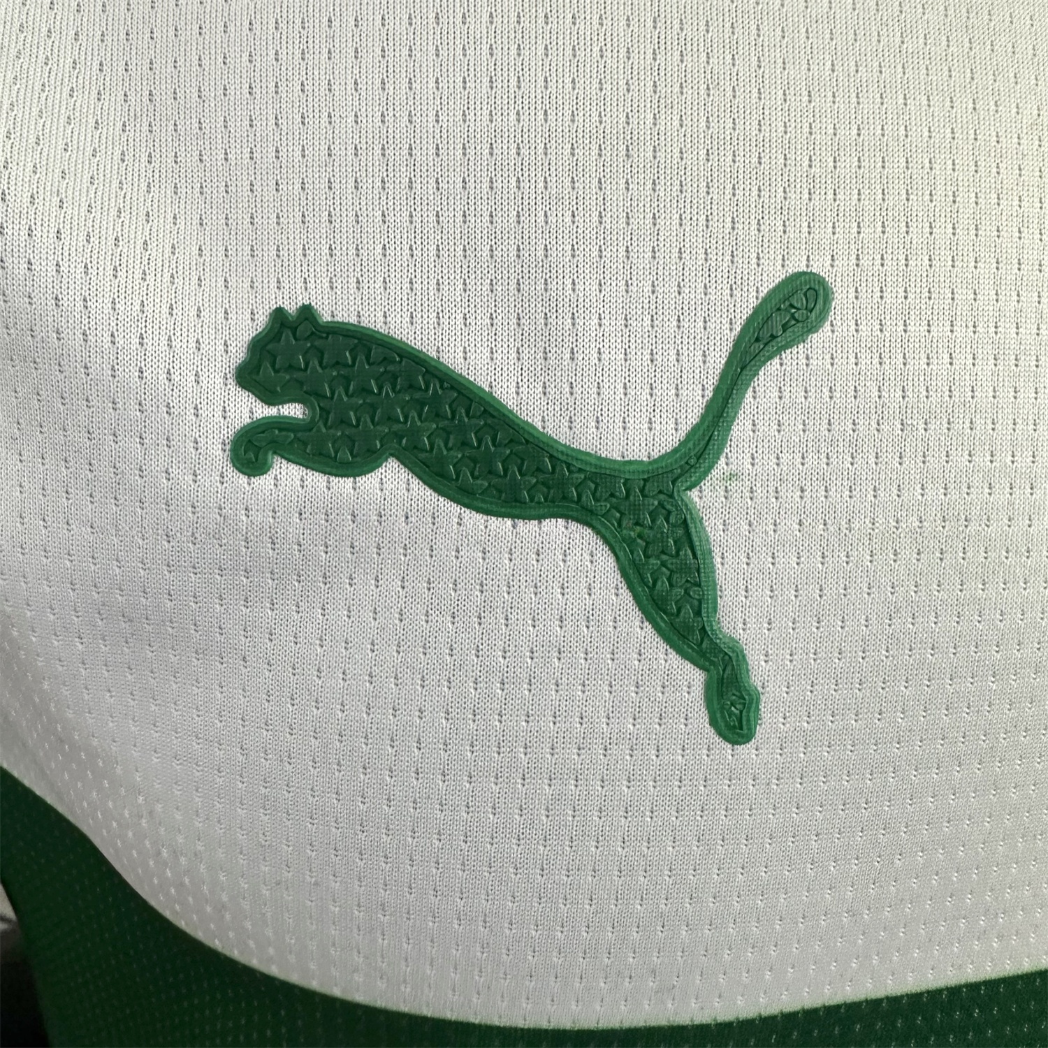Palmeiras 25-26 Avanti Commemorative Jersey - Player Version - UnitedFutballJersey