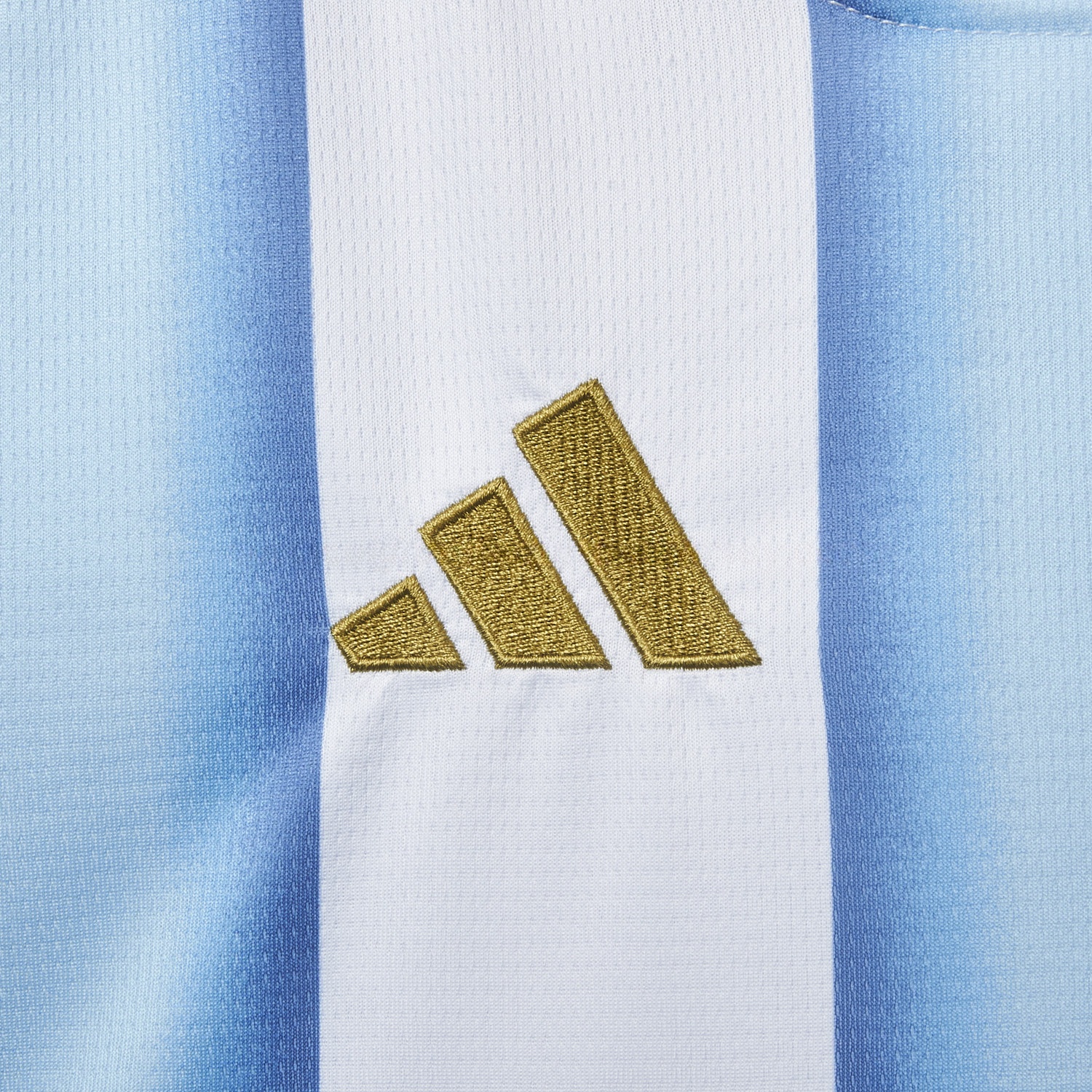 Women's Argentina 2026 Home Cropped Jersey - UnitedFutballJersey