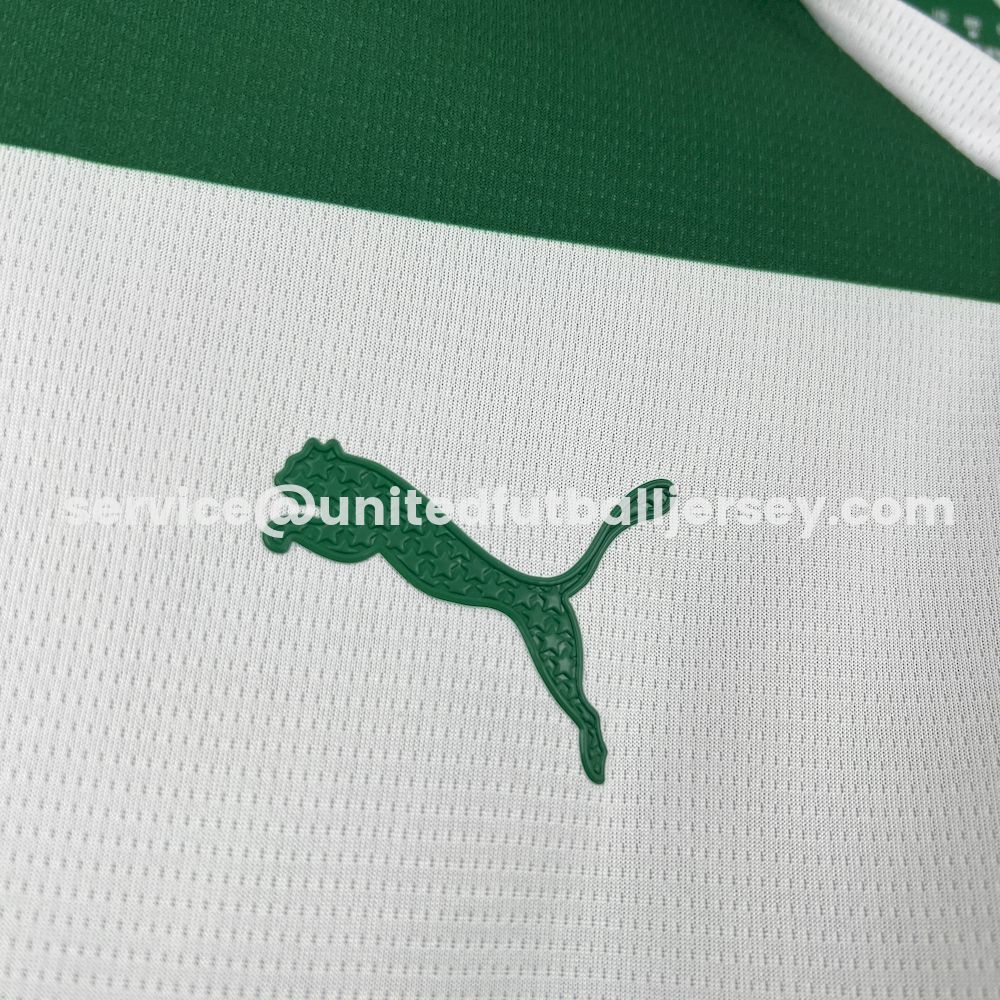 Palmeiras 25-26 Avanti Commemorative Jersey - Fans Version - UnitedFutballJersey