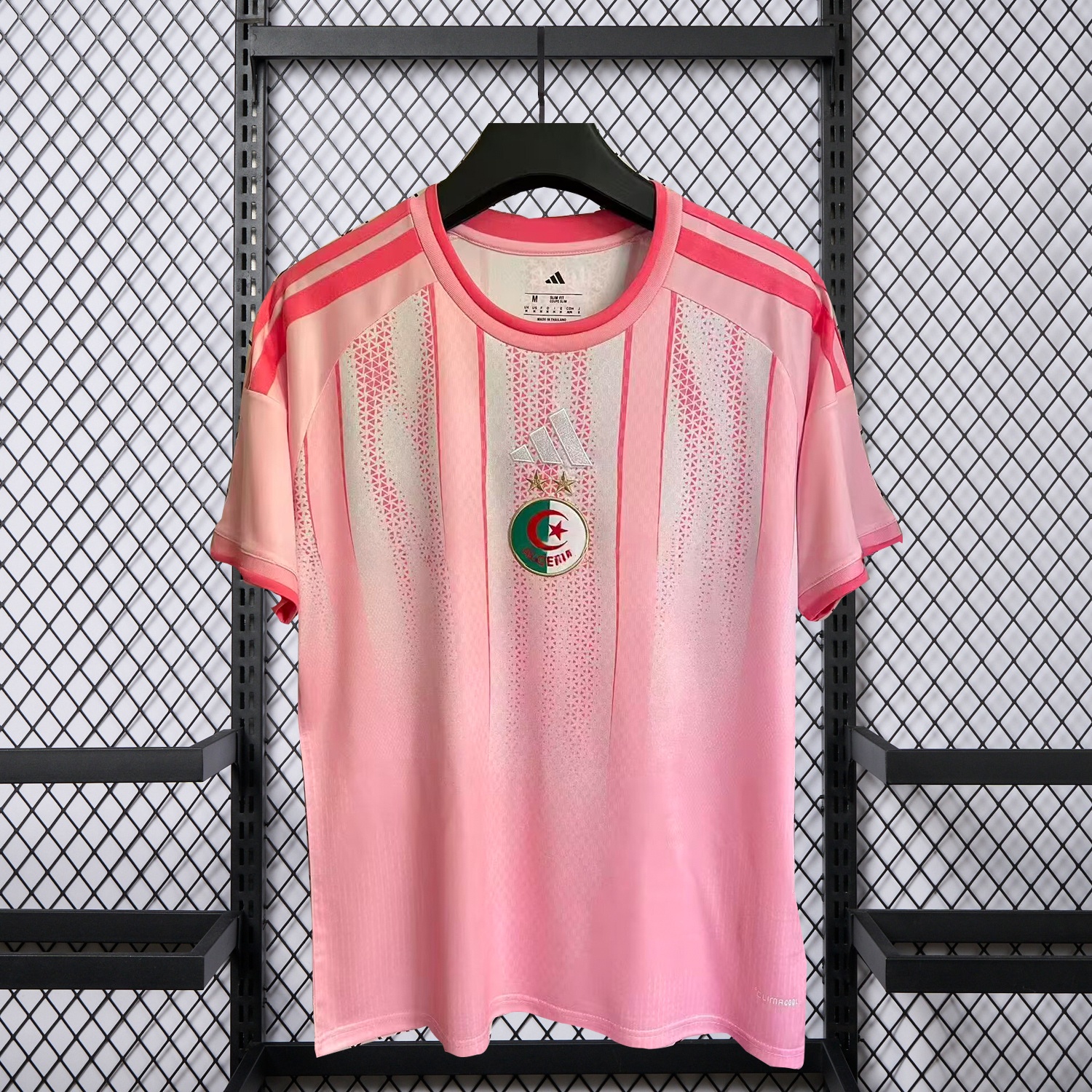 Algeria 2026 Training Pink Jersey - Fans Version - UnitedFutballJersey