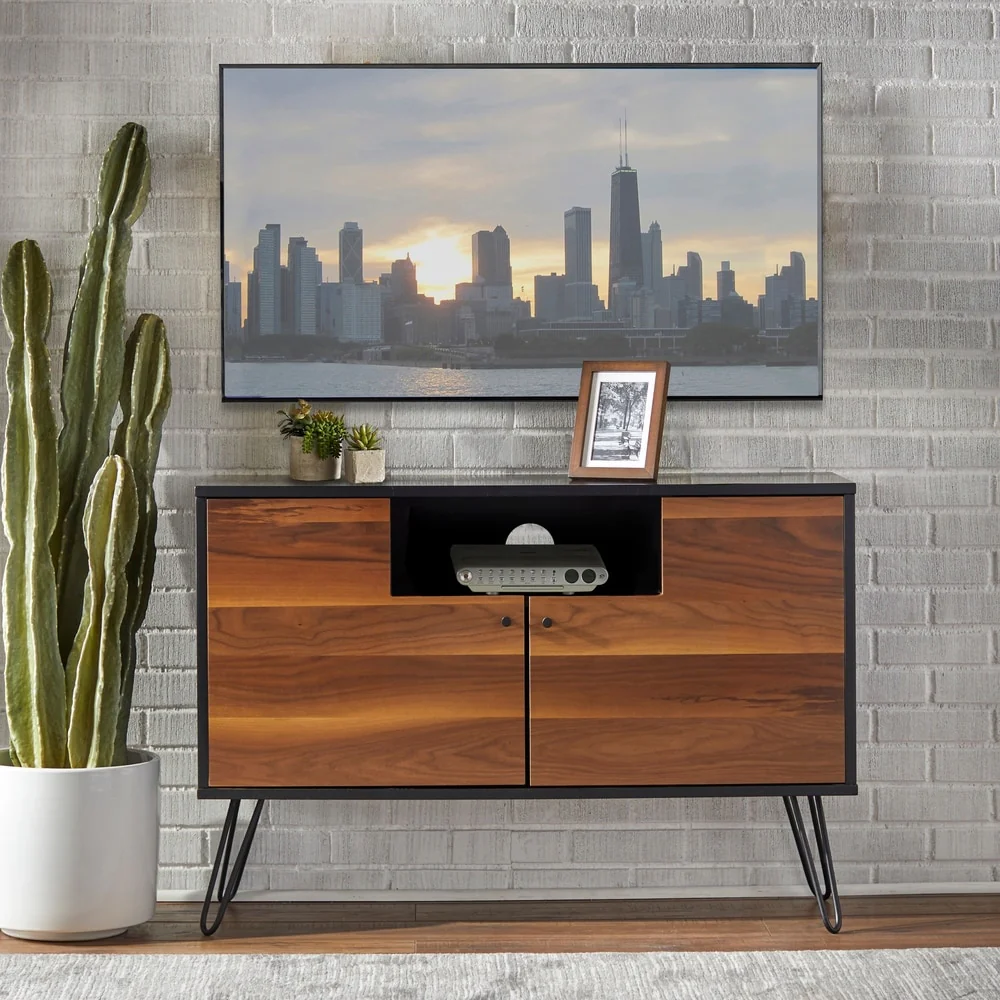 Lifestorey Rodan 2-Door Console
