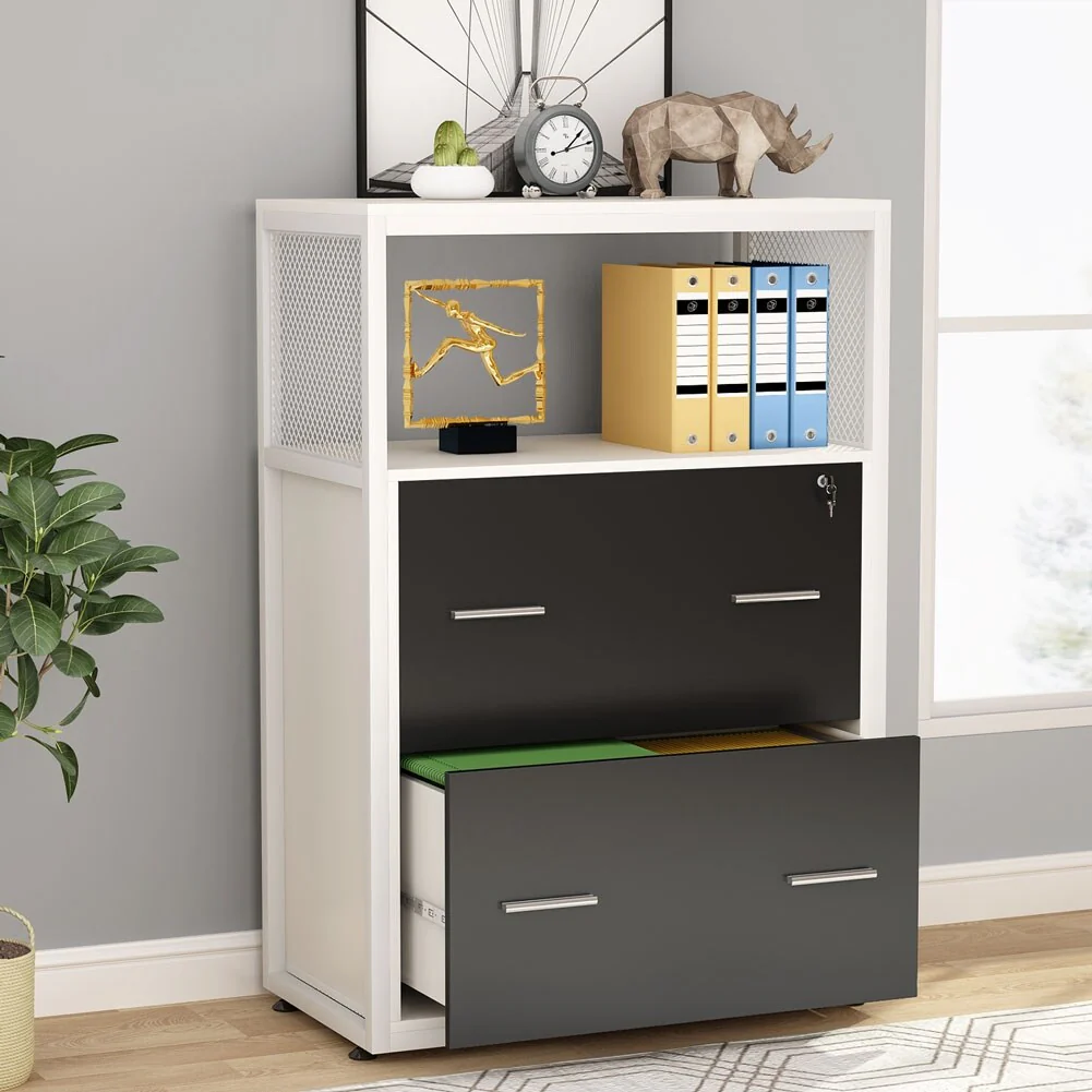 2 Drawer Lateral File Cabinet Modern