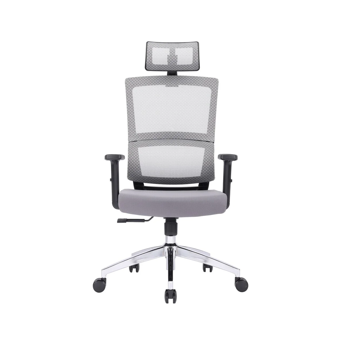 Grey Ergoal Chair Plus