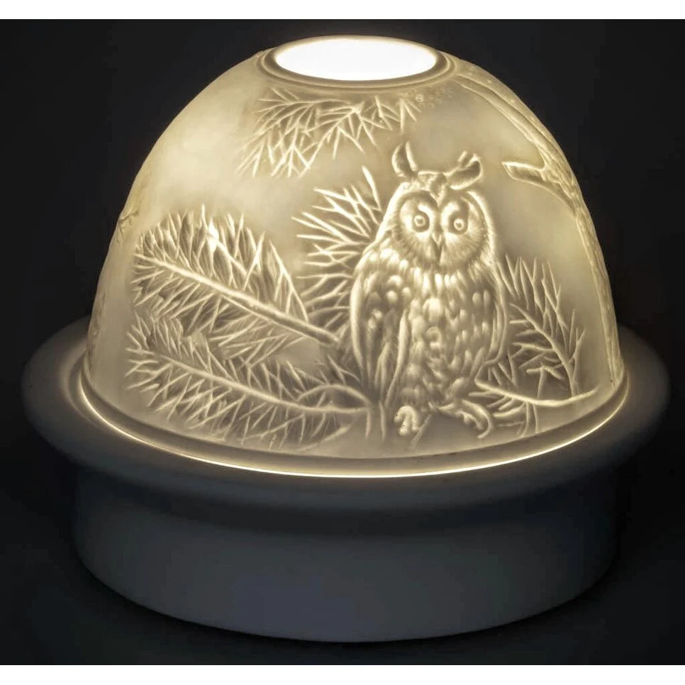 Owl Dome Light