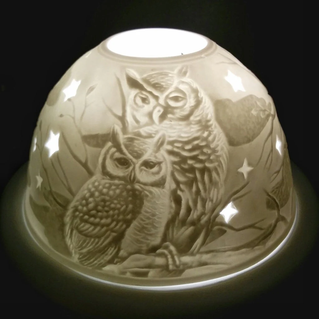 Midnight Owl Dome Light