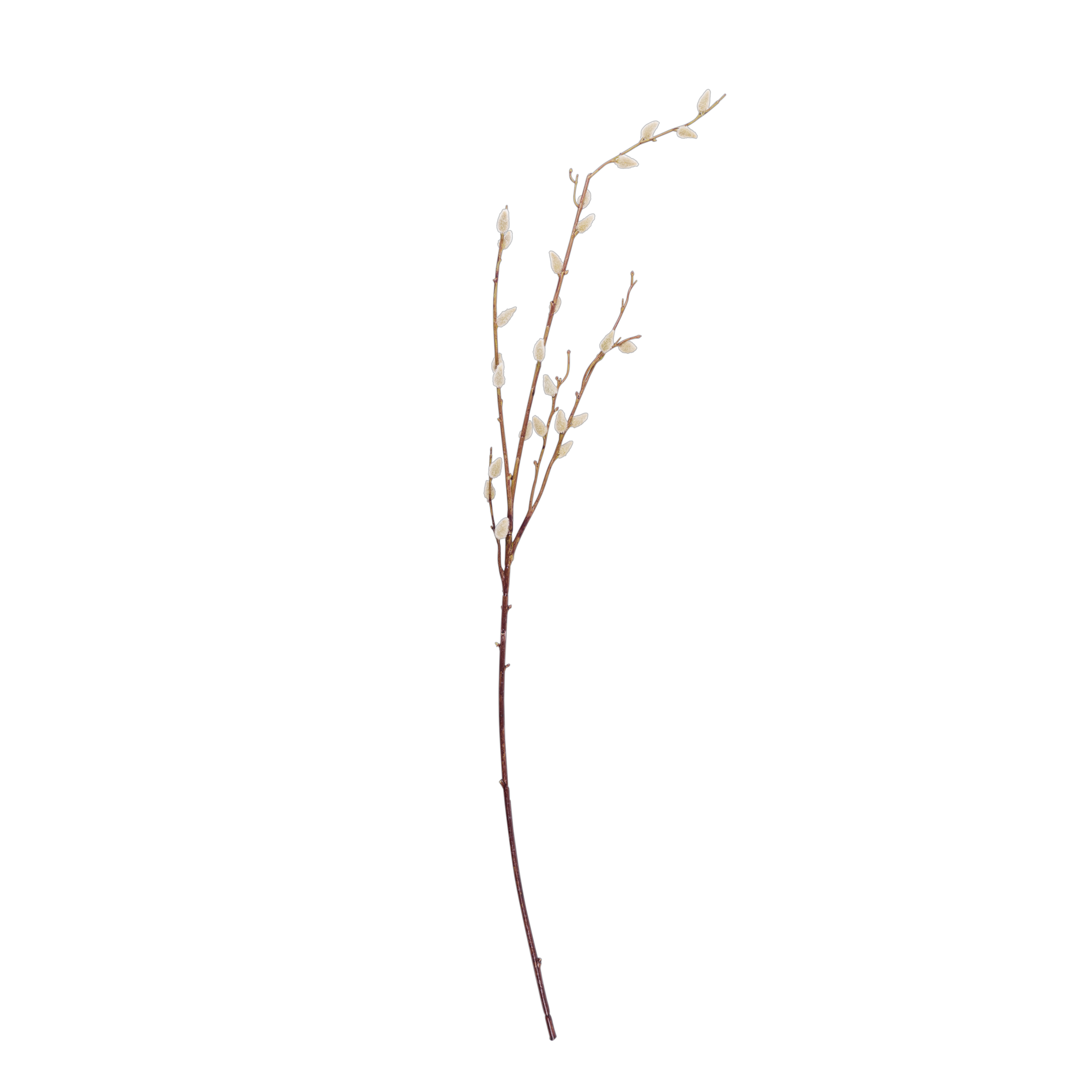 SALICA Kunsttak groenL 96 cm