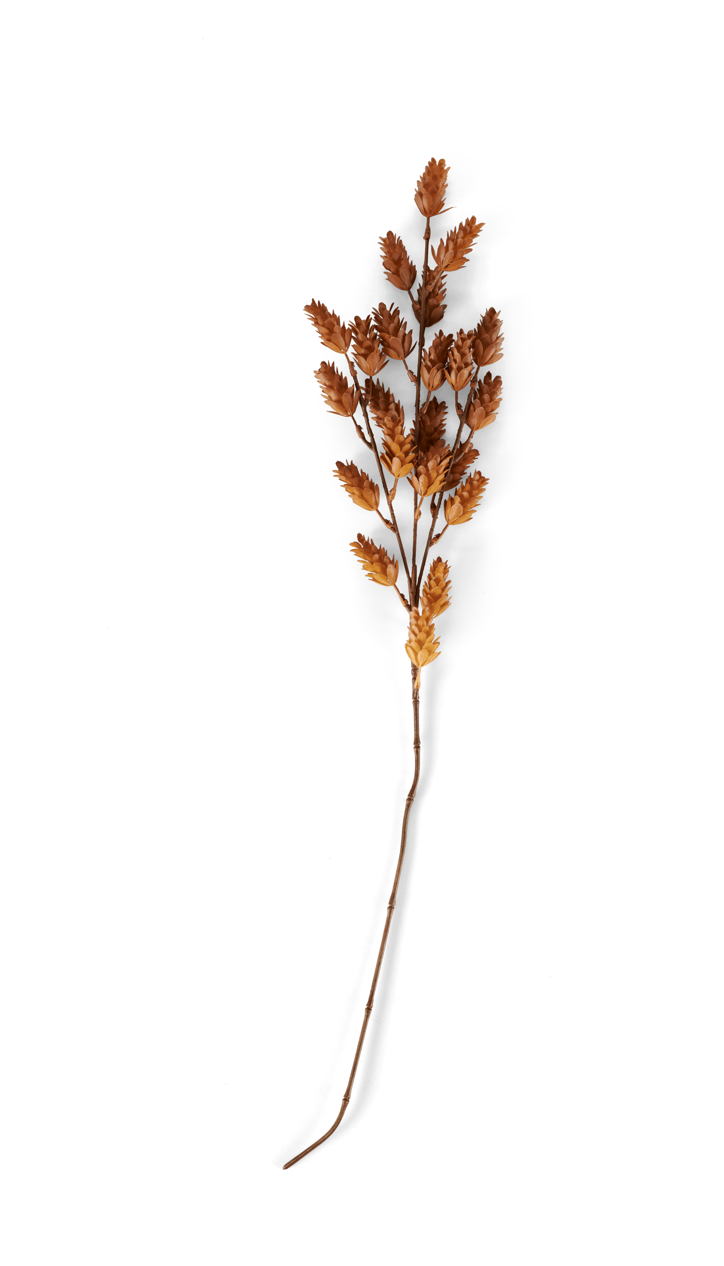 CIPRA Stengel groenL 74 cm