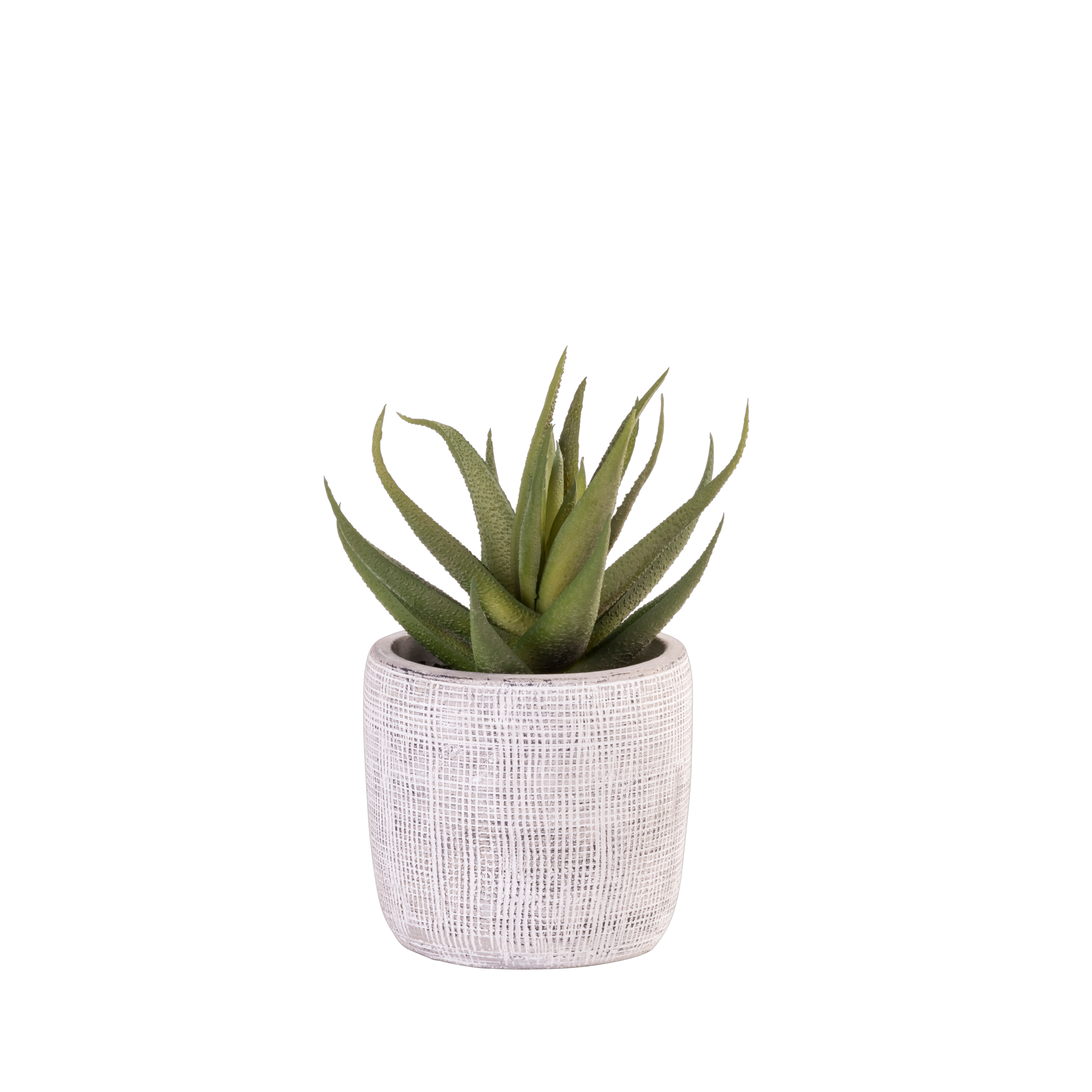 CEMENT Kunstplant grijsH 16 cm - Ø 12 cm