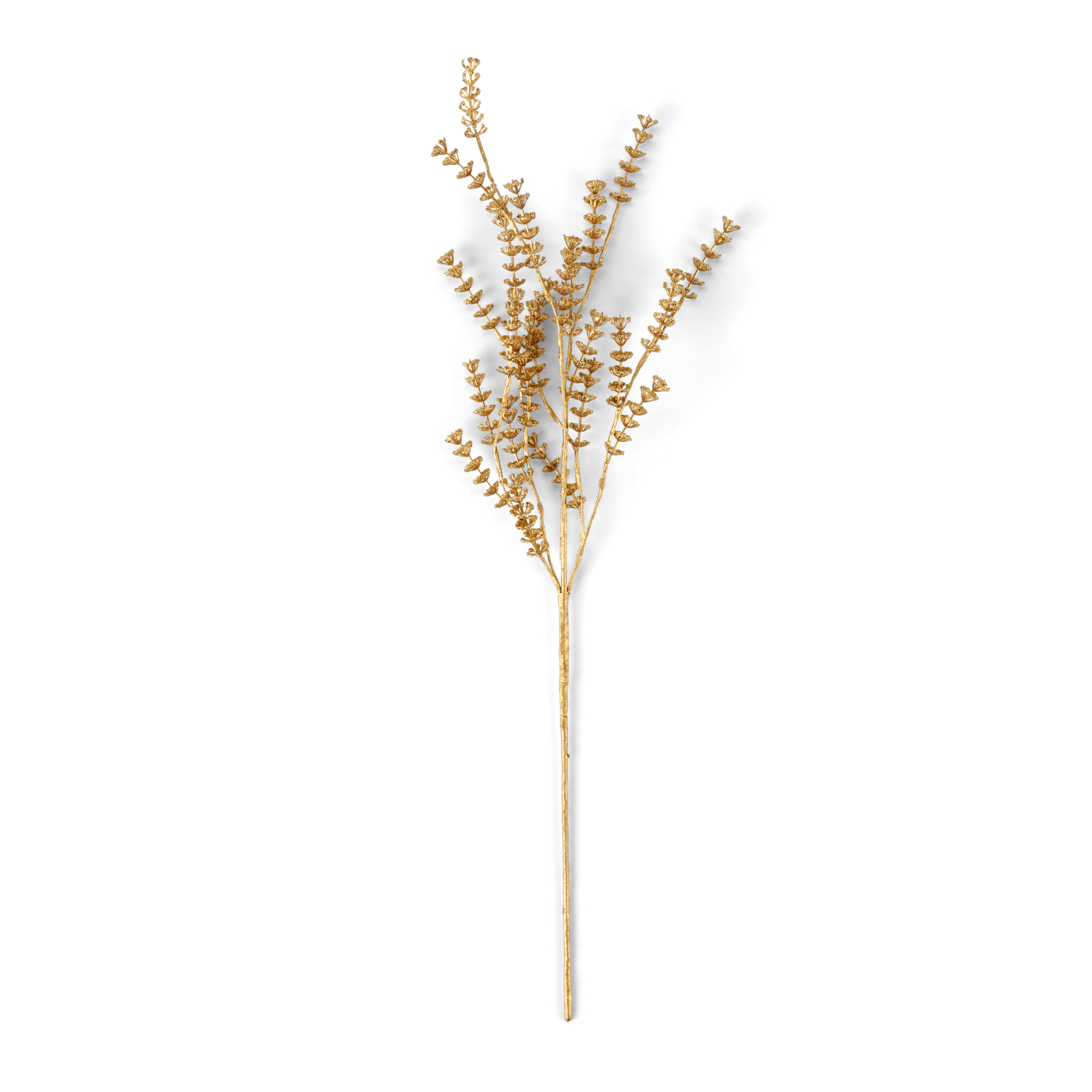 MOTHERWORT Kruidentak goudL 68 cm