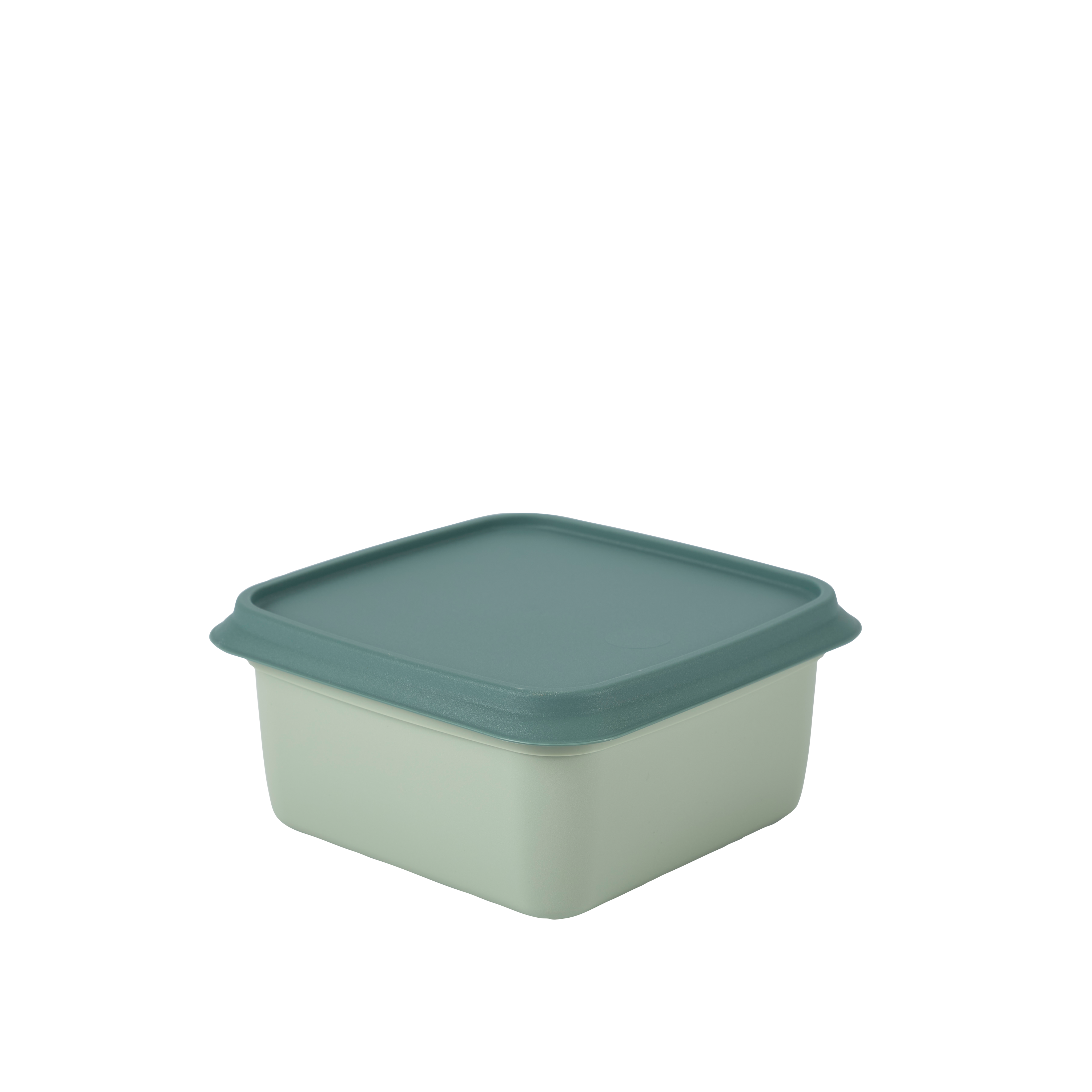 FREEZER Diepvriesdozen set van 10 munt, donkergroen