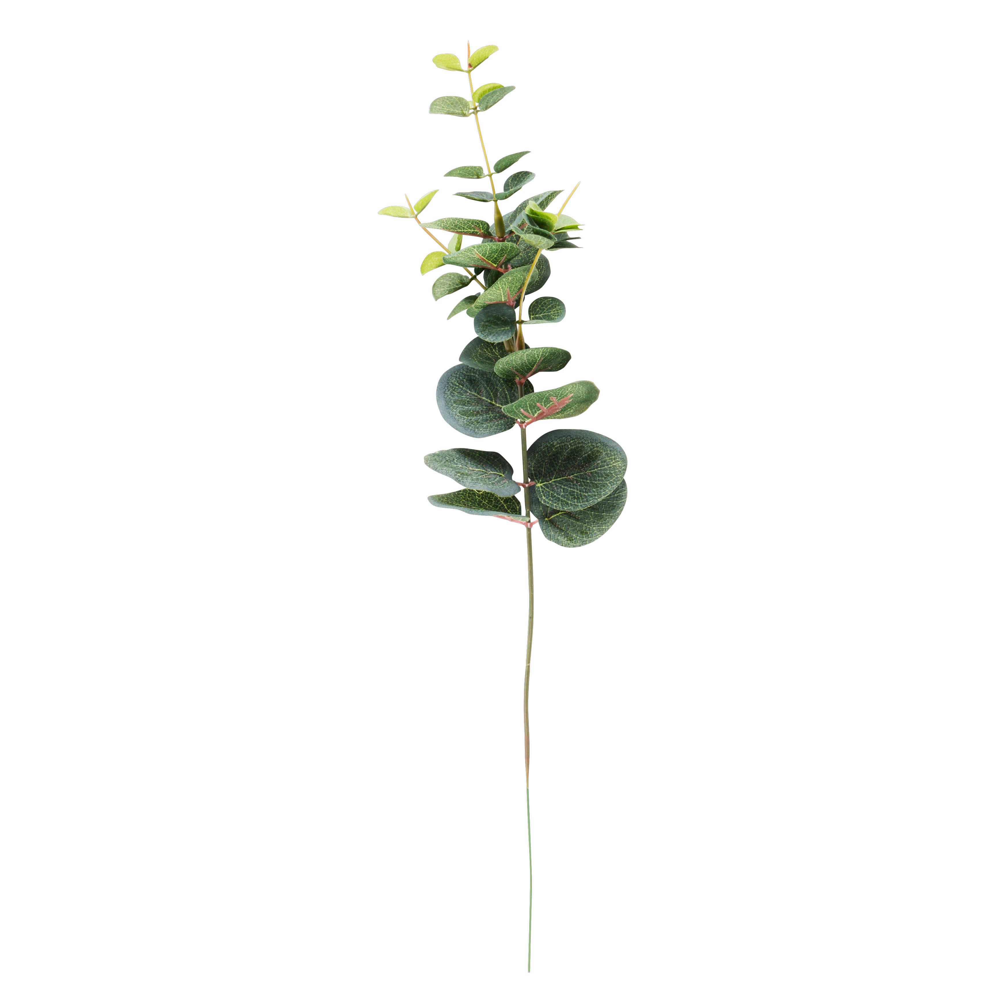 EUCALYPTUS Kunsttak groenL 40,5 cm