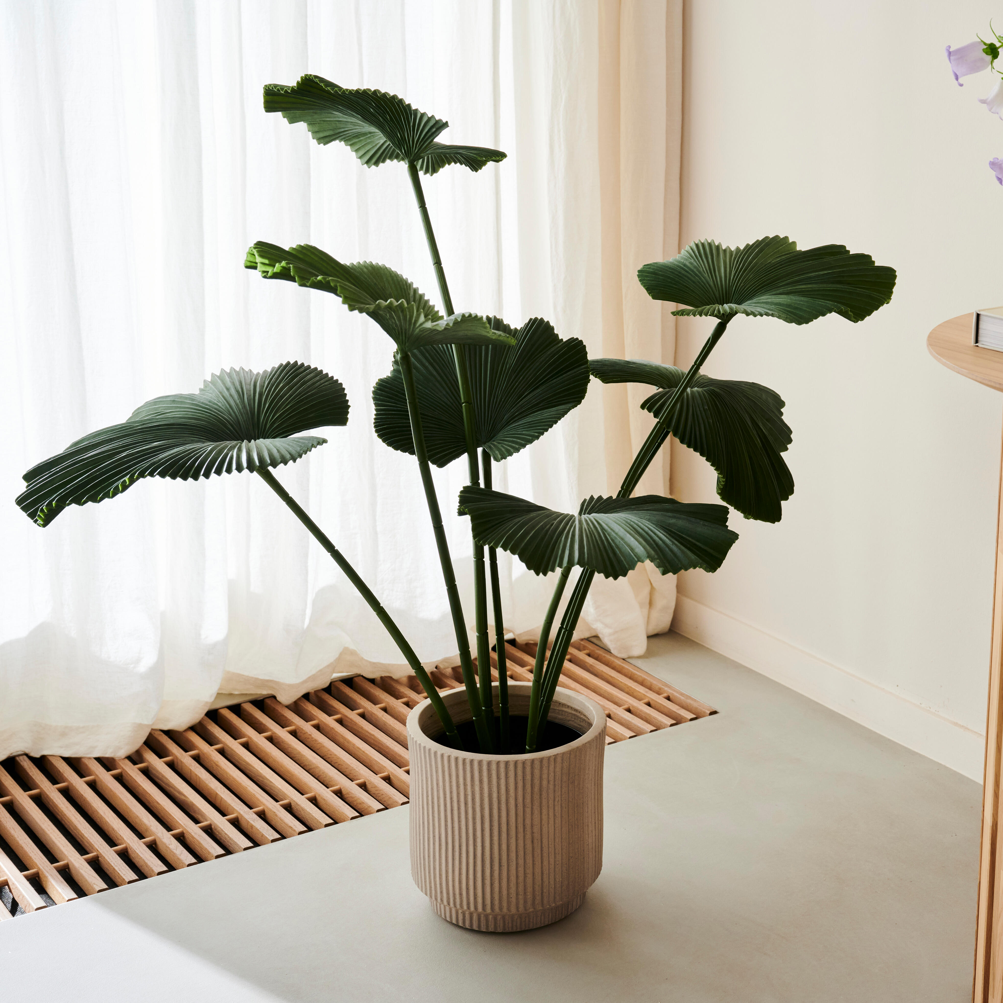 LOTUS Plant groenH 103 x D 83 cm