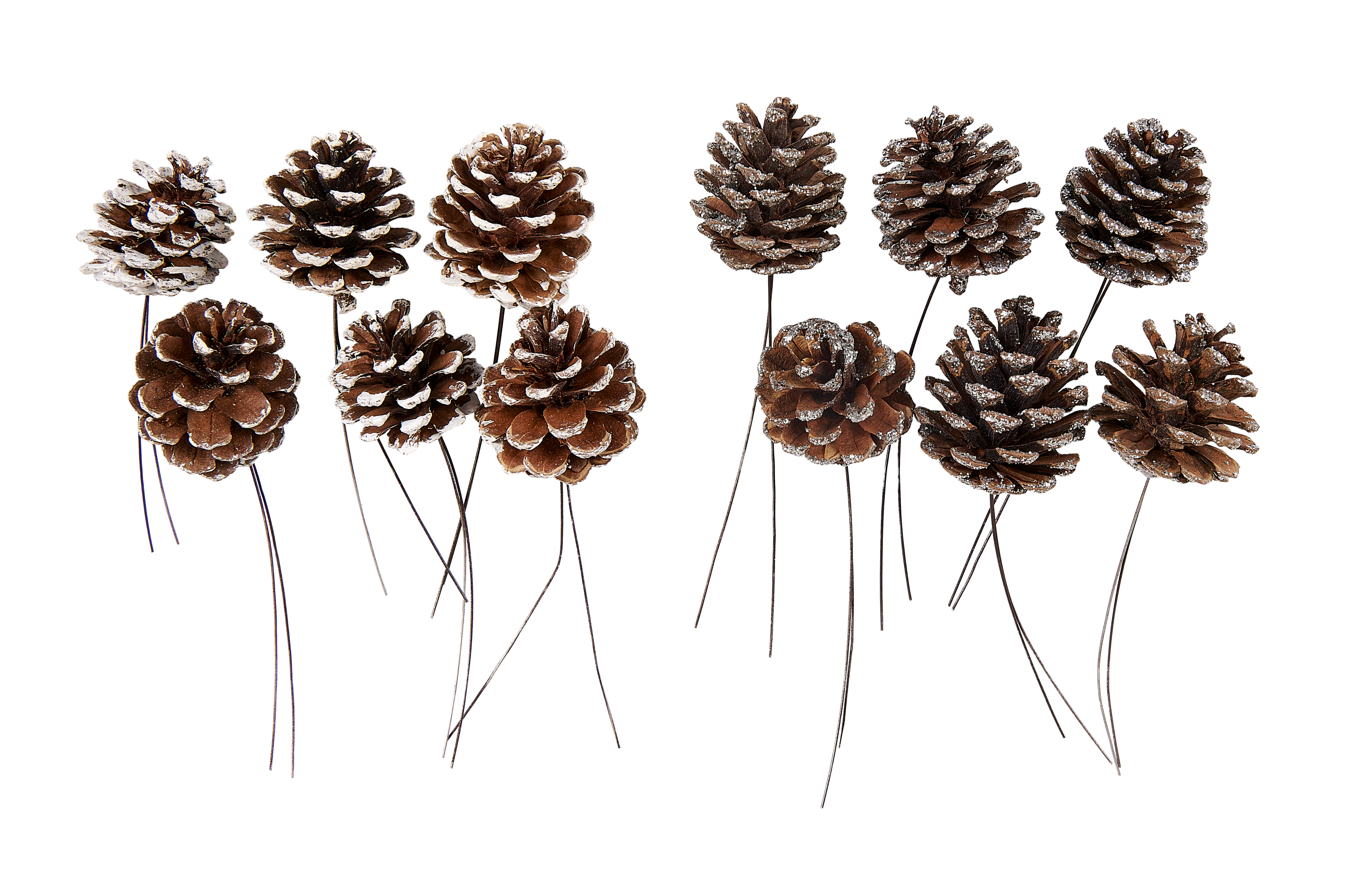PINECONE Dennenappels set vn 6 2 kleuren wit, zilverL 10 cm - CASA