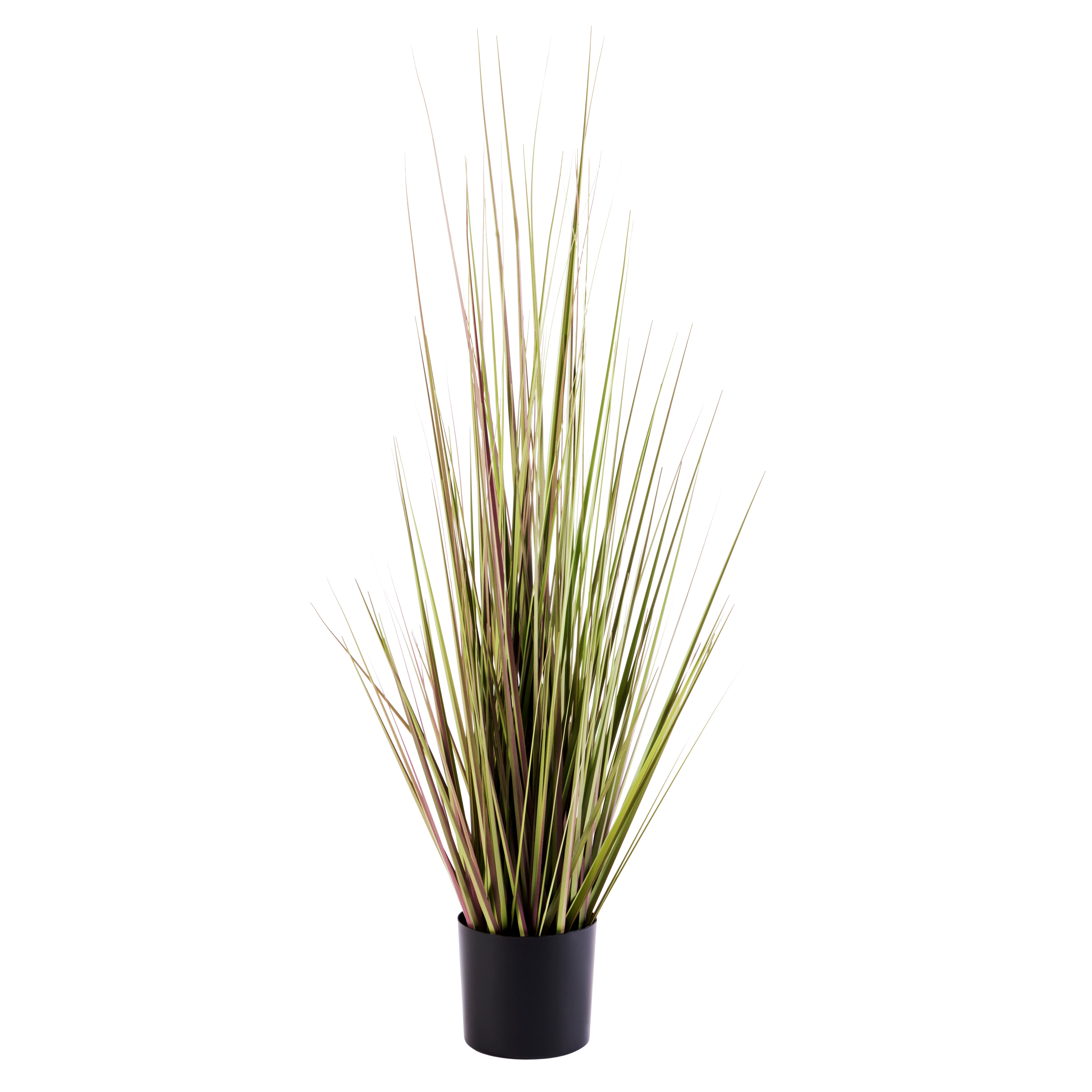 HERBA Gras in pot groenH 90 cm - Ø 13 cm - Ø 50 cm