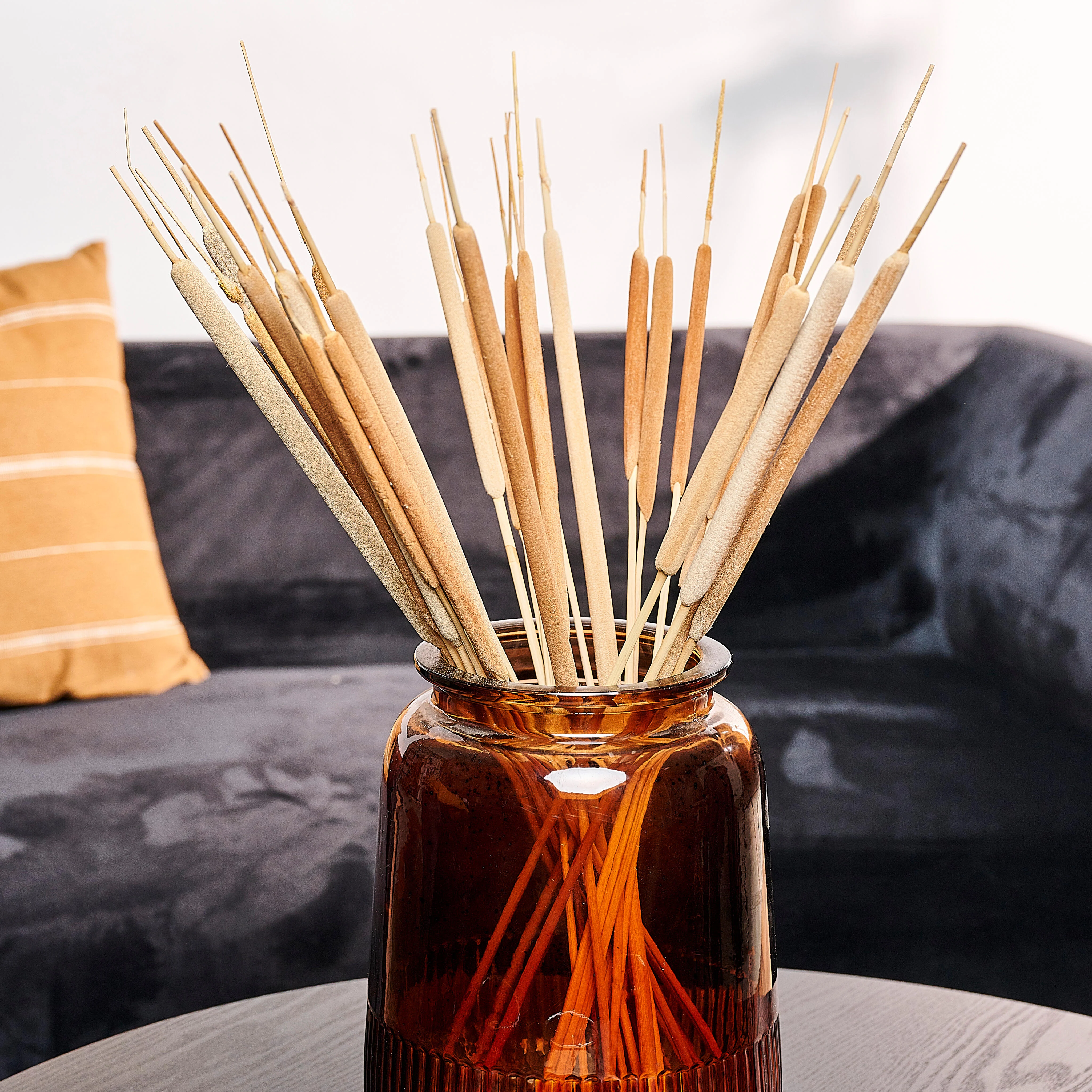 TYPHA Rietstengels set van 15 naturelL 70 cm